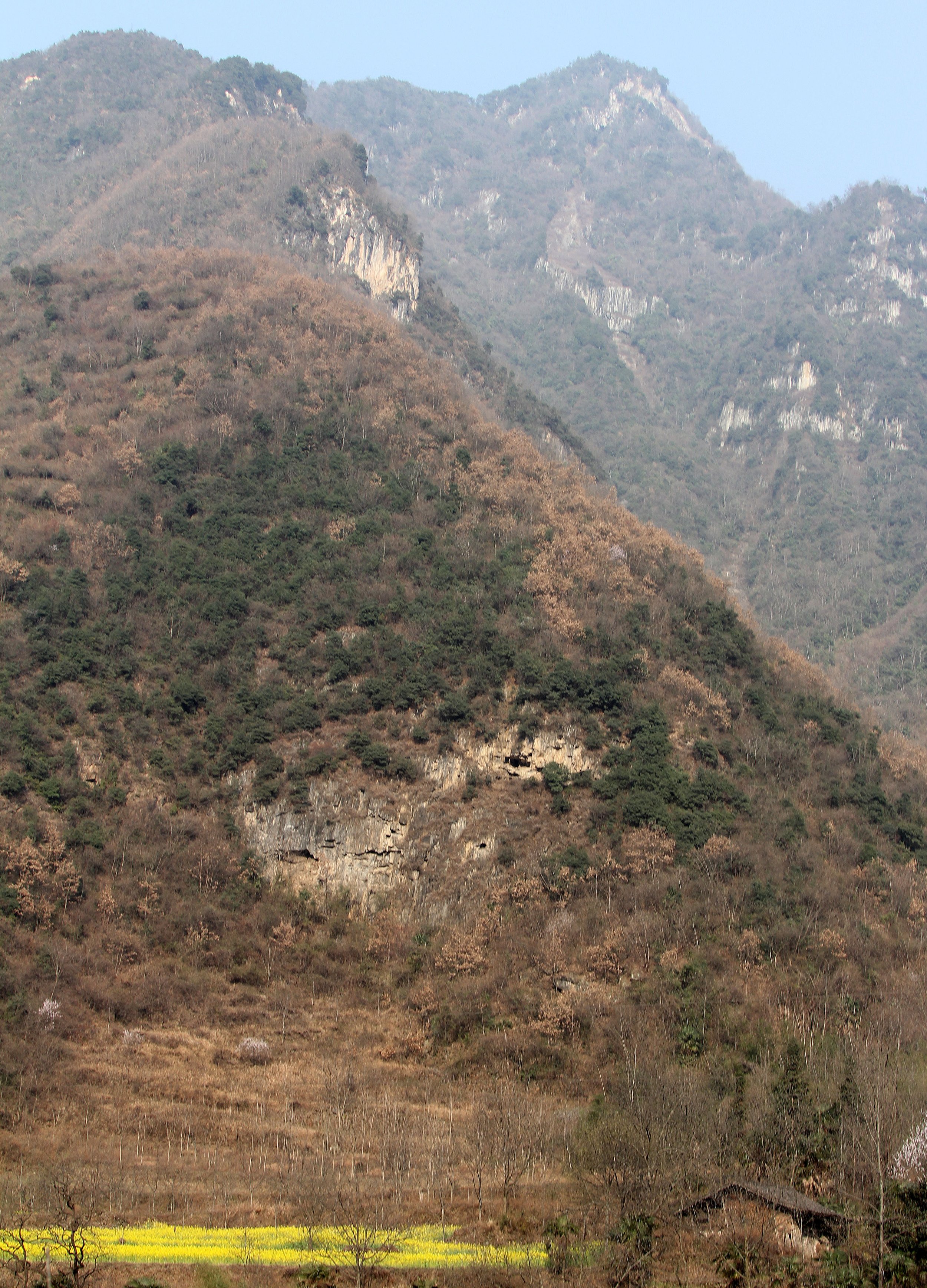 TANGJIAHE NATURE RESERVE, SICHUAN CHINA (5).JPG