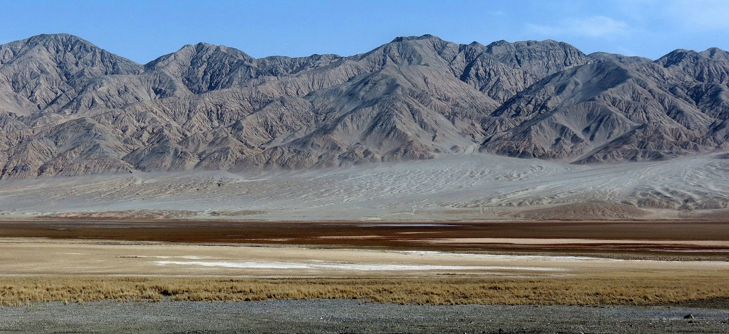 LOP NUR WILD BACTRIAN CAMEL RESERVE - XINJIANG CHINA (67).JPG