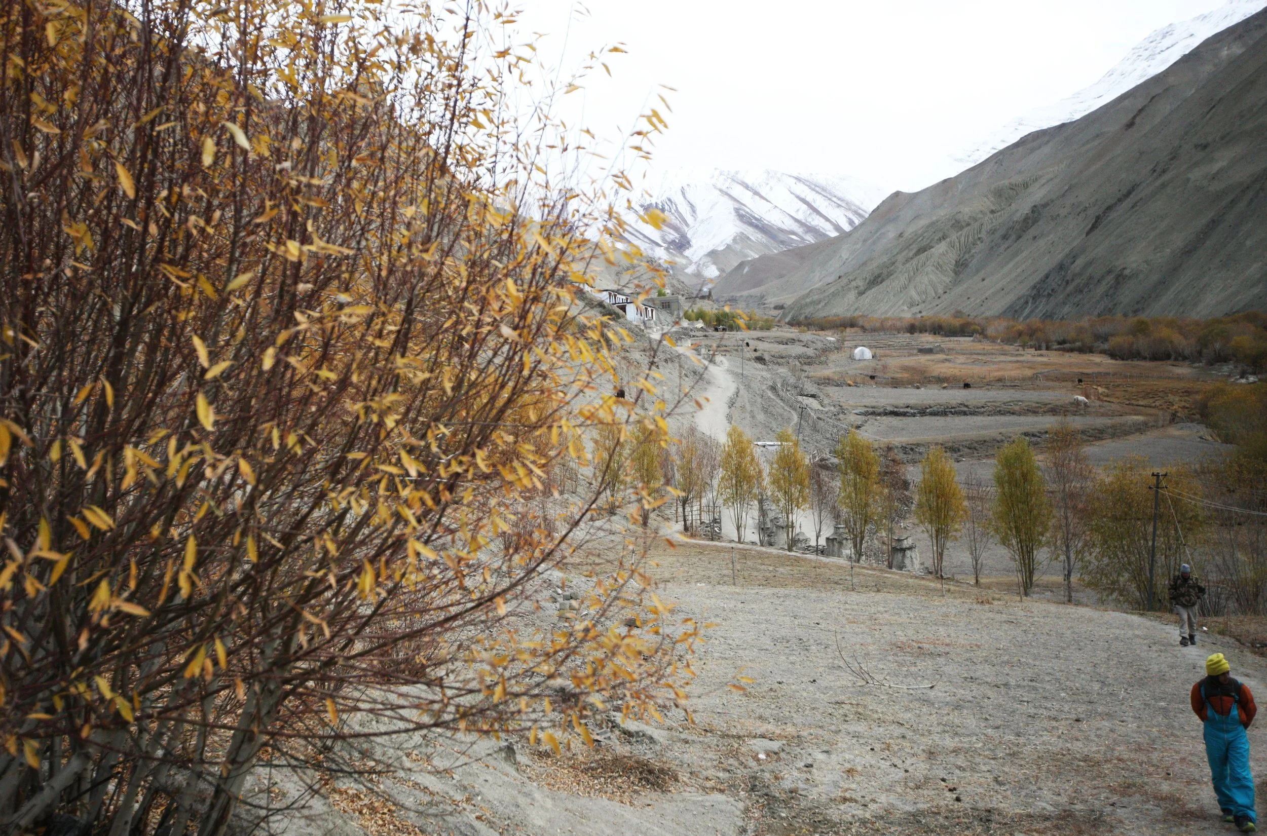 LEH LADAKH INDIA (21).JPG