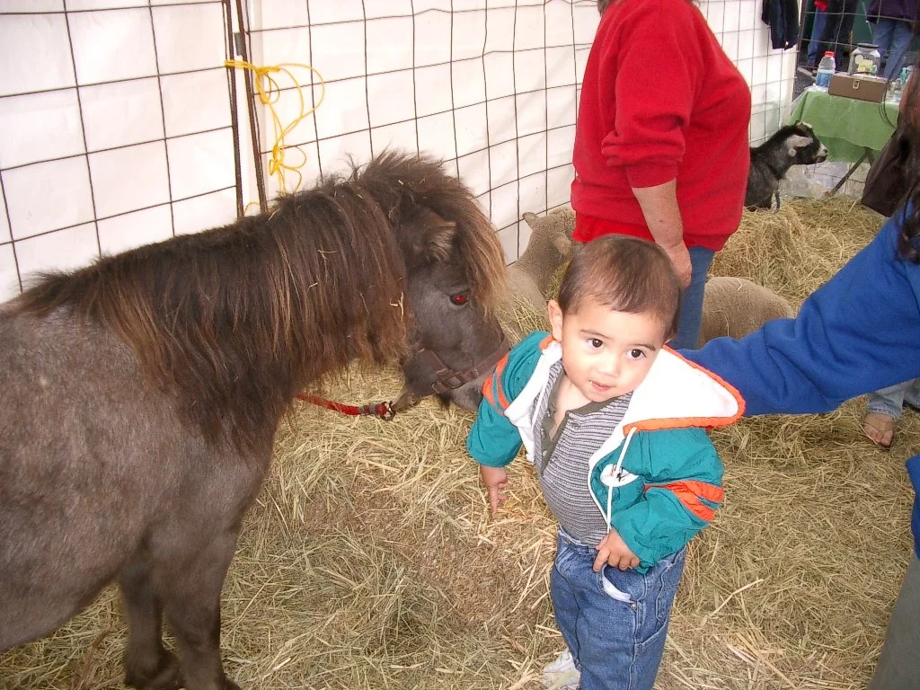 2003-10-12 CRAB FEST CRITTERS.JPG