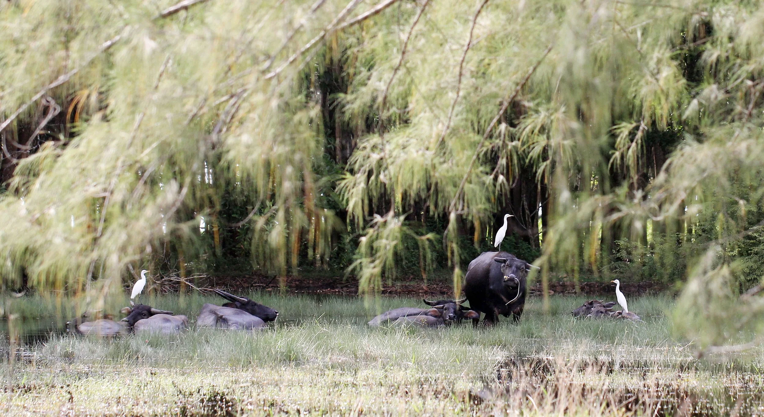 2015 Koh Lanta October Break Trip  (47).JPG