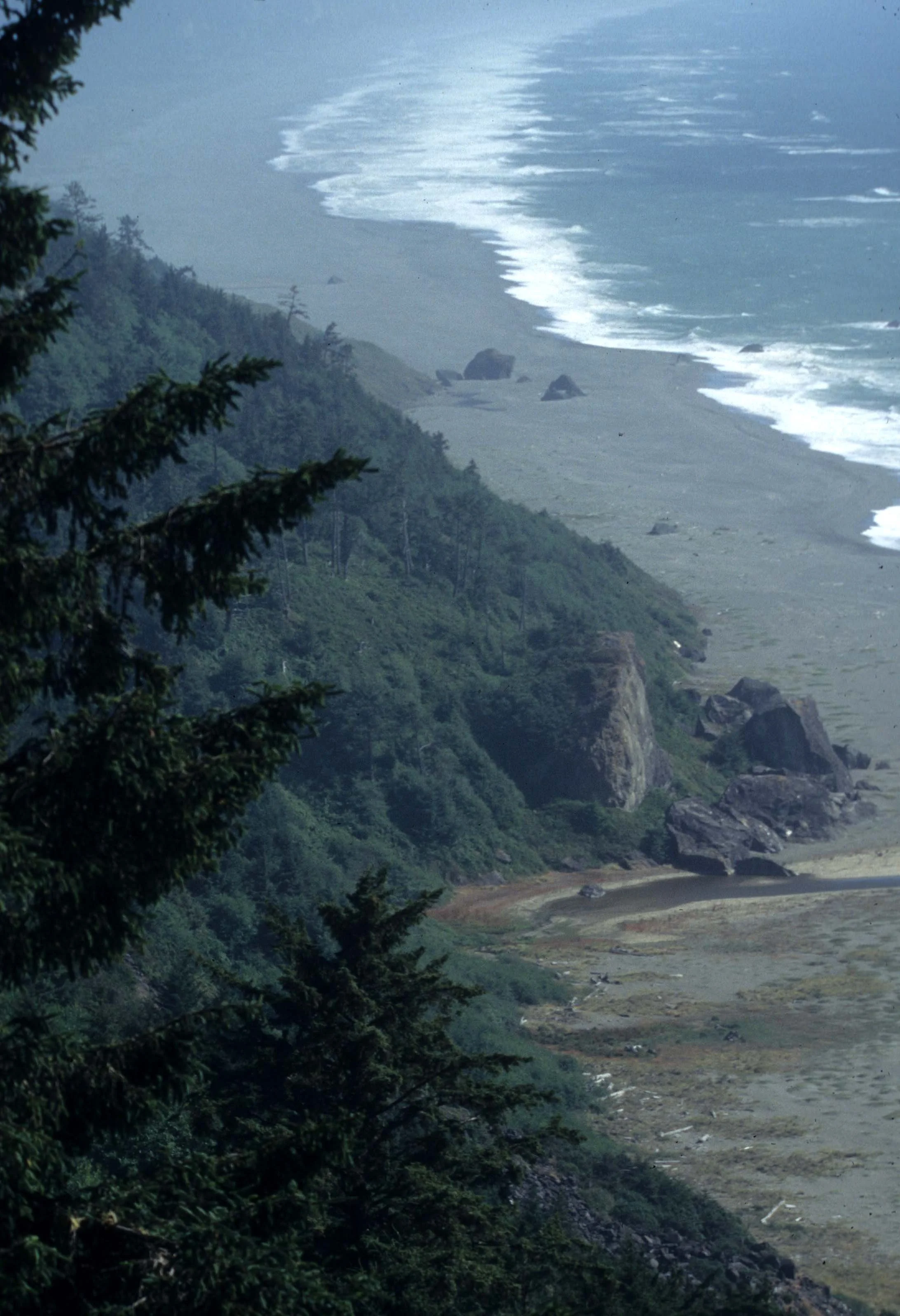 CALIFORNIA - REDWOODS NP - VIEWS (5).jpg