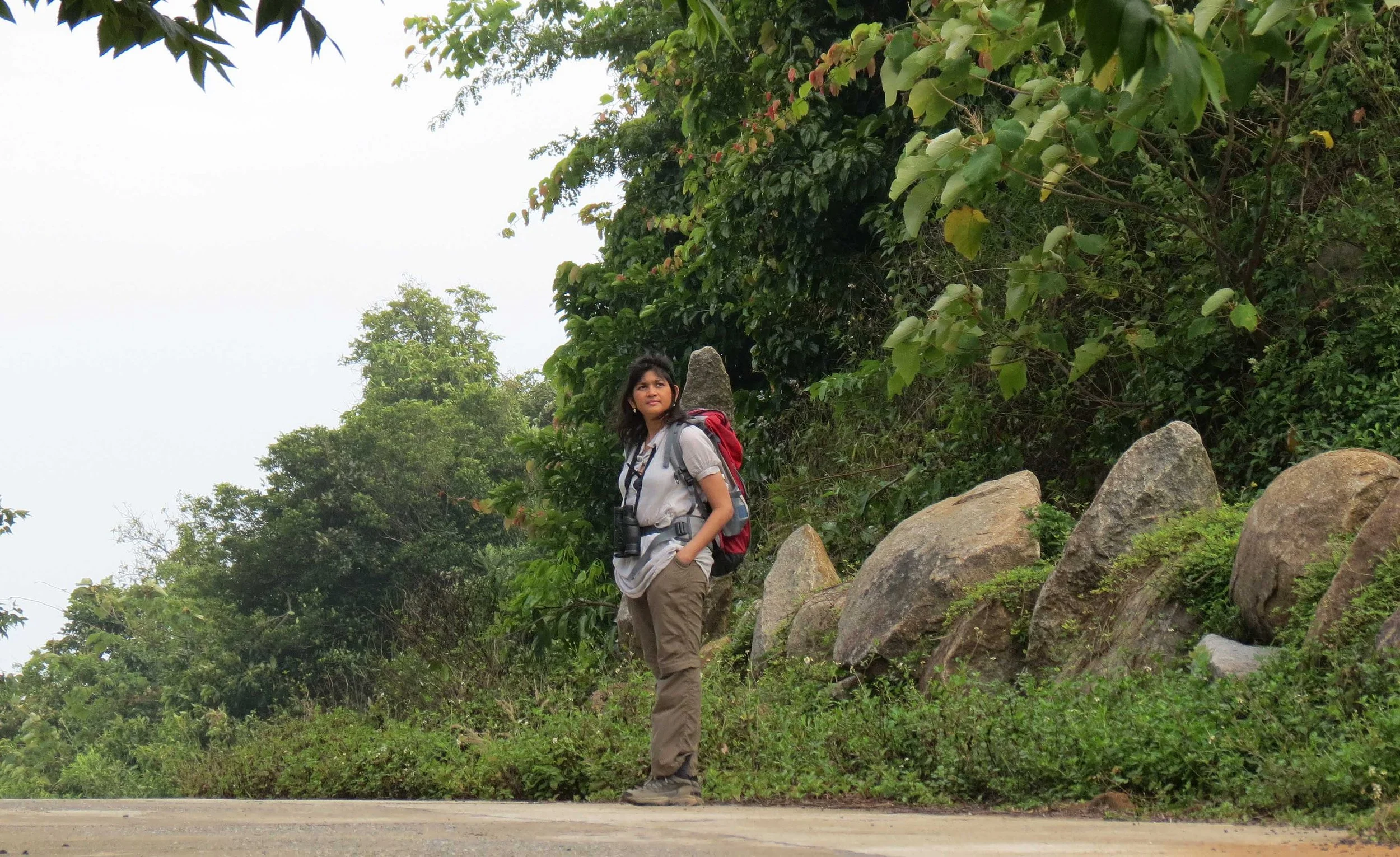 SON TRA PENINSULA - COKIE'S IMAGES (16).JPG