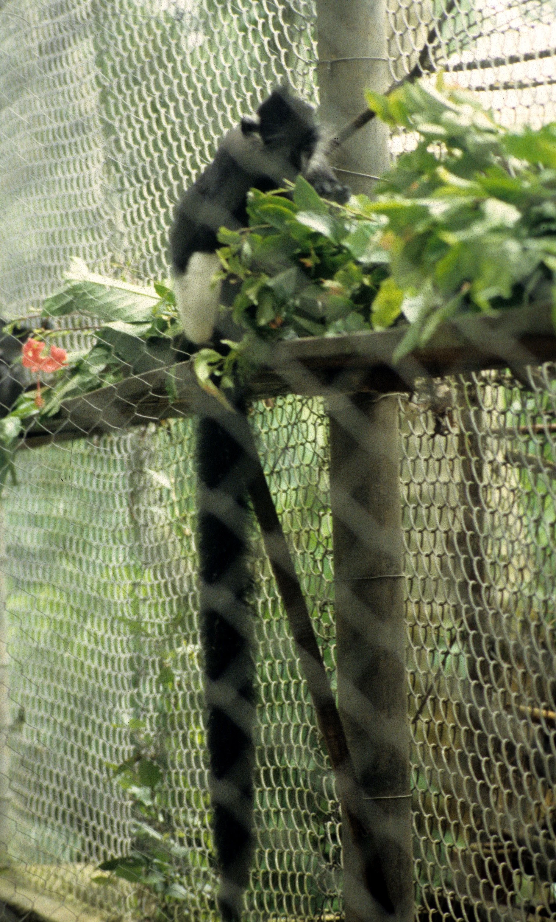 DALAT - POACHERS HOUSE (11).jpg