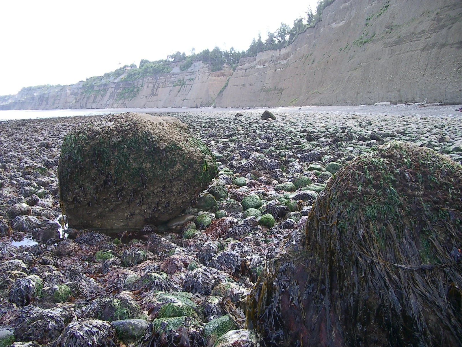2004-6-10 HANGING AT LAKE FARM AND BEACH (20).JPG
