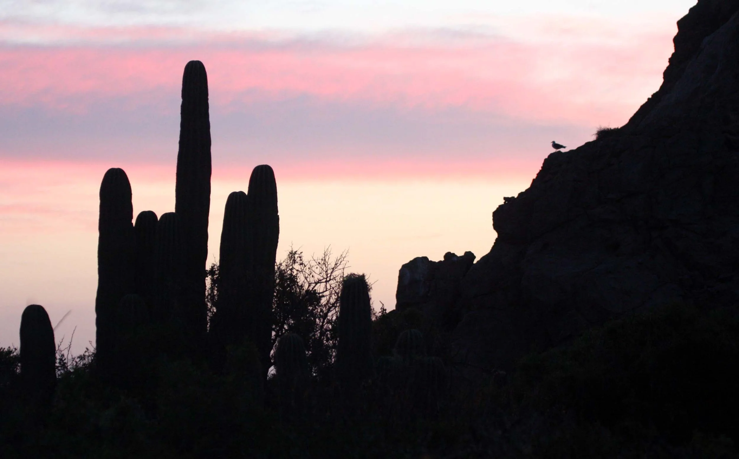 ISLA SANTA CATALINA BAJA MEXIO - SUNSET LANDSCAPES (31).JPG