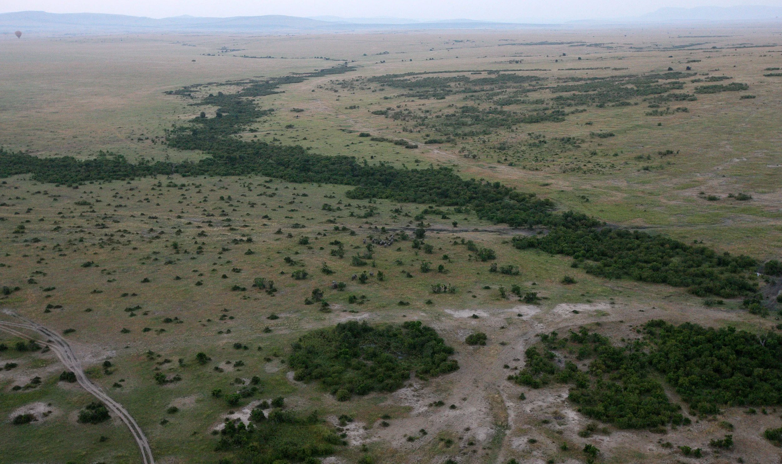 MASAI MARA NATIONAL PARK KENYA (59).JPG