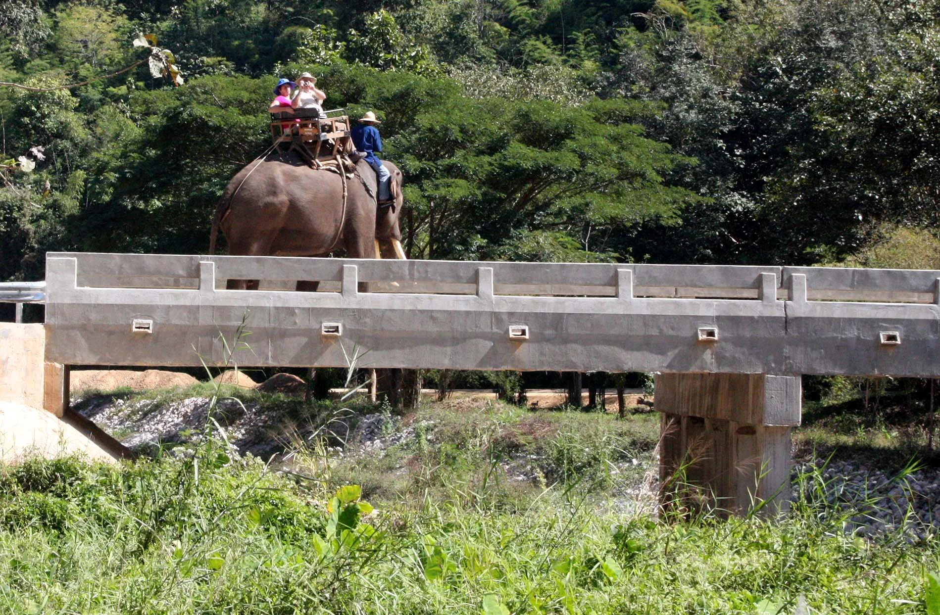 2008 Lampang City & Elephant Center (33).JPG