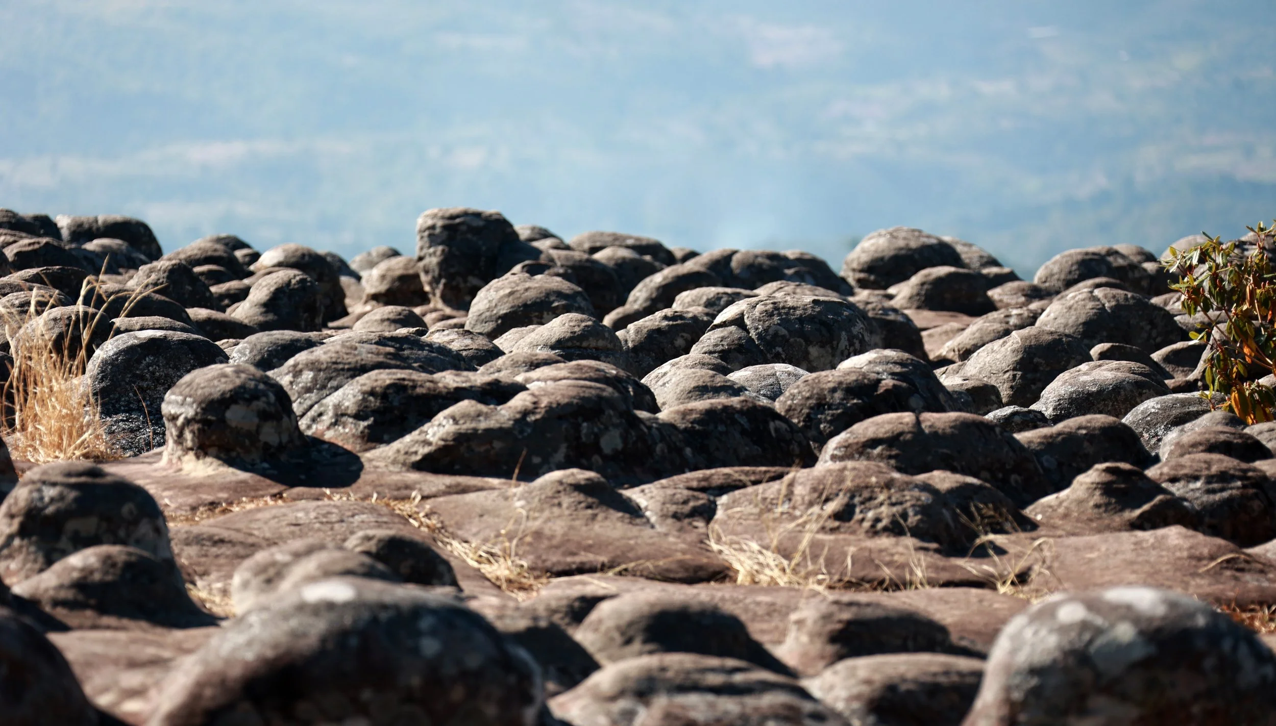Phu Hin Rong Kla National Park Loei Province (65).jpg
