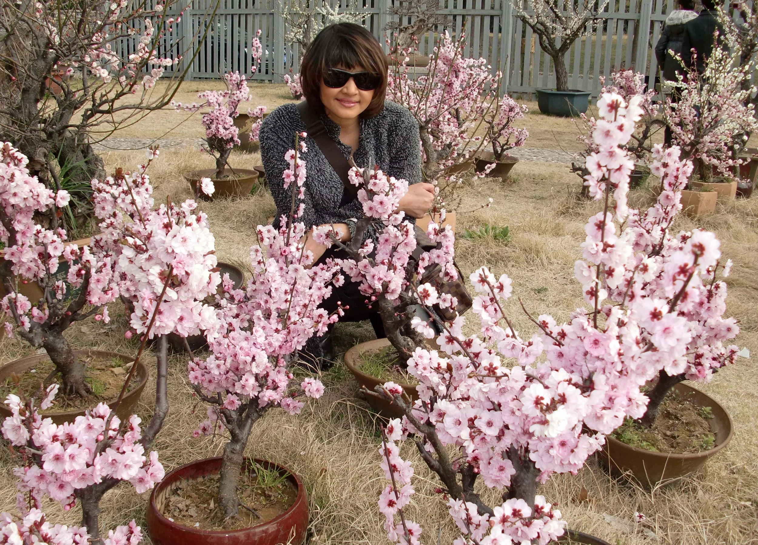 2011-3-13 CENTURY PARK SHANGHAI (27).JPG