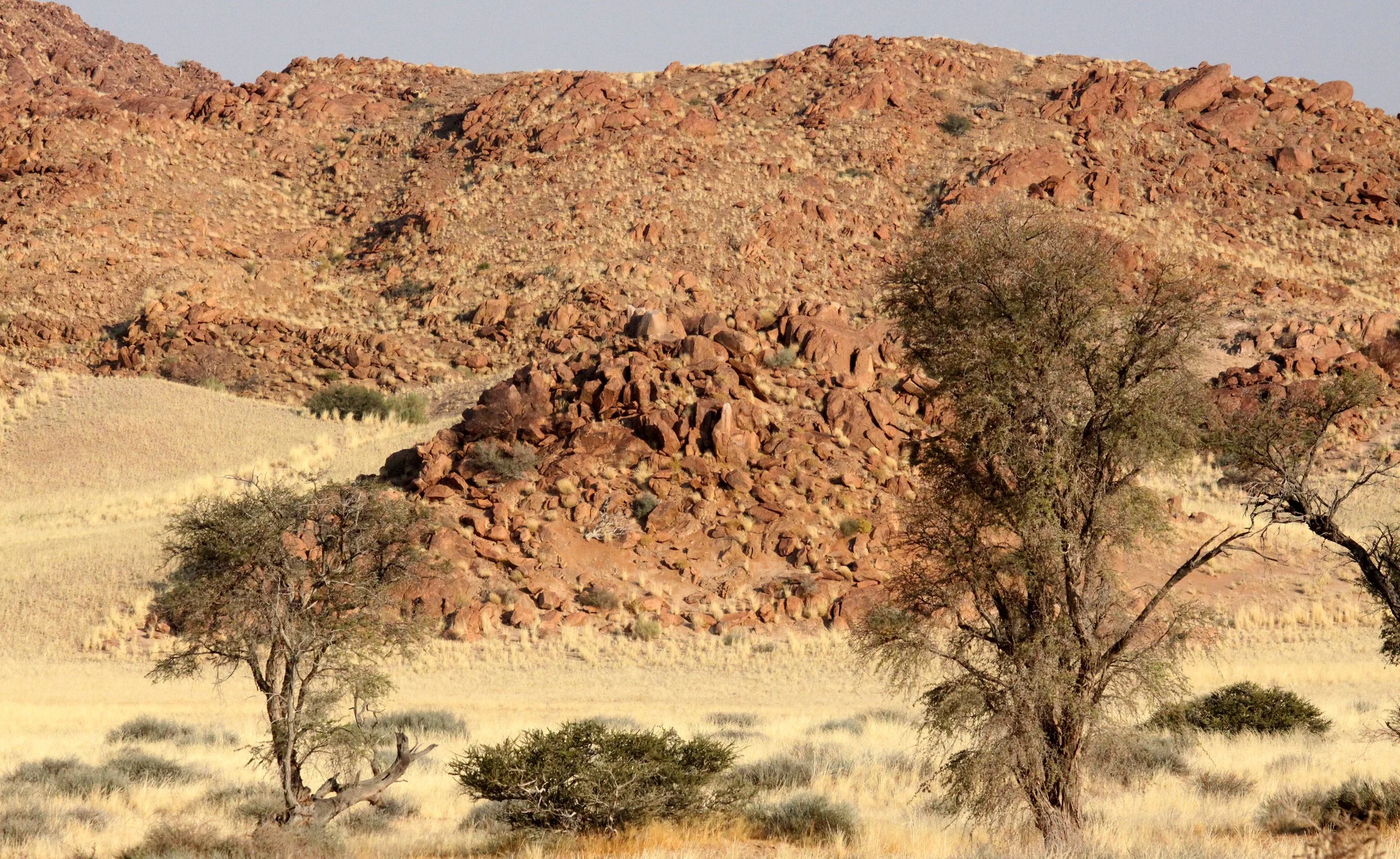 SOSSUSVLEI, NAMIB NAUKLUFT NATIONAL PARK, NAMIBIA (60).JPG