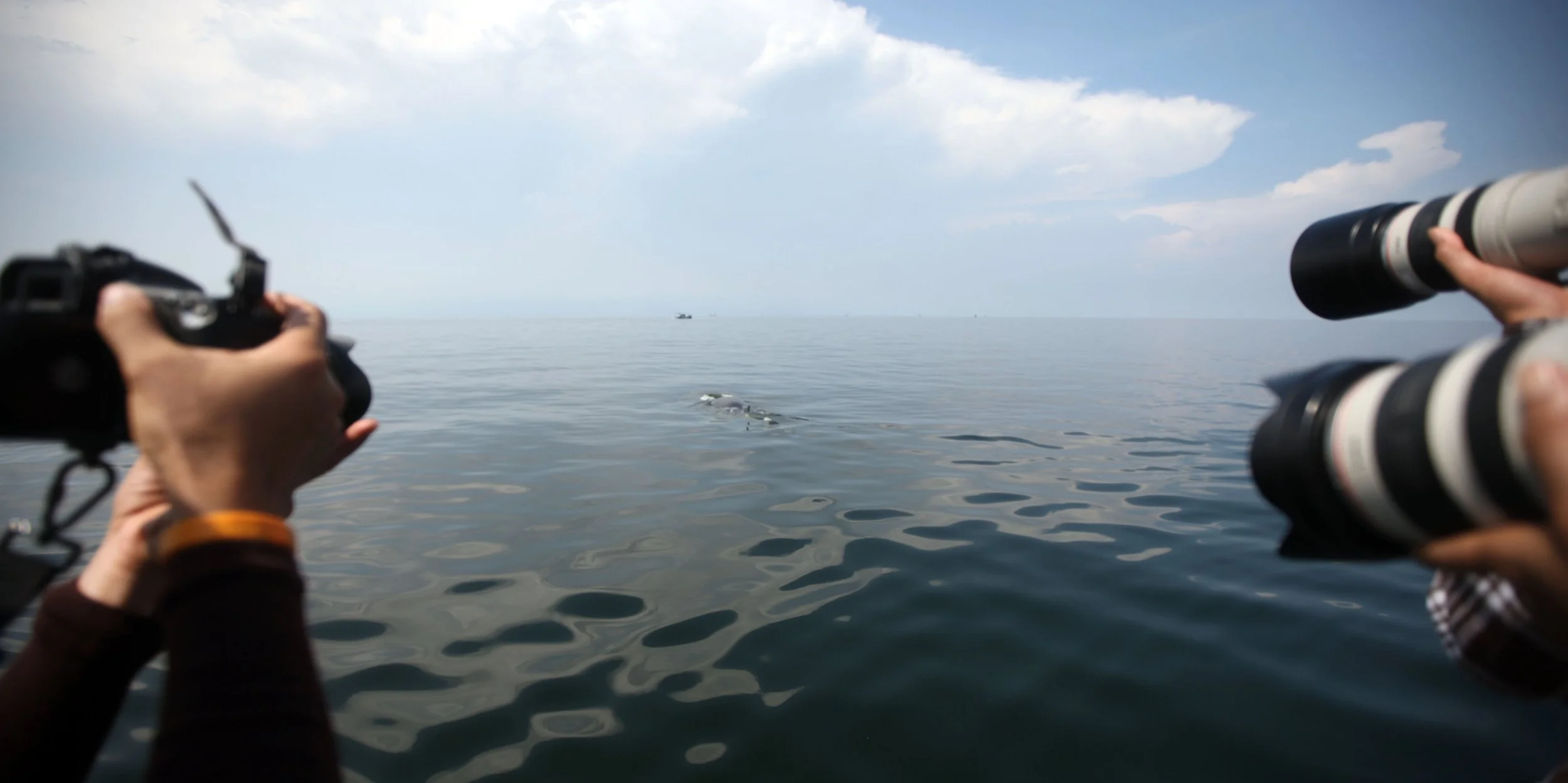 2014 Amphawa Trip to See Whales from Baan Taboon (61).JPG