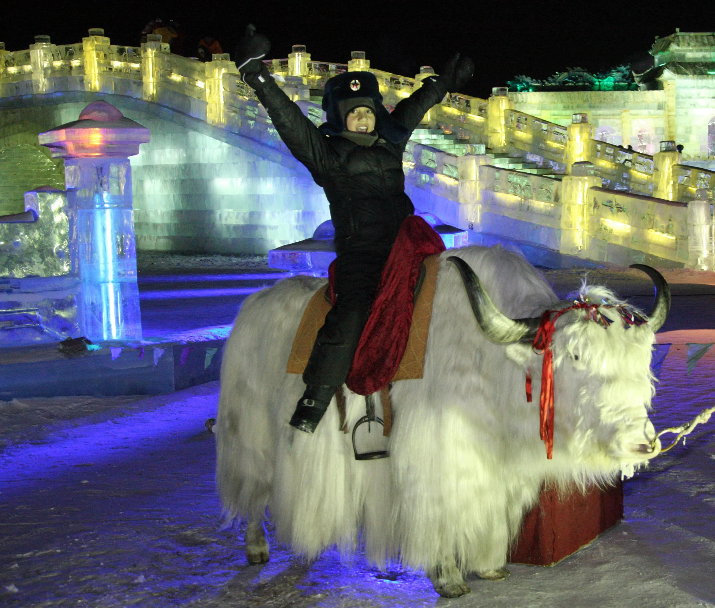 HARBIN ICE & SNOW FESTIVAL FEBRUARY 2012 (85).JPG