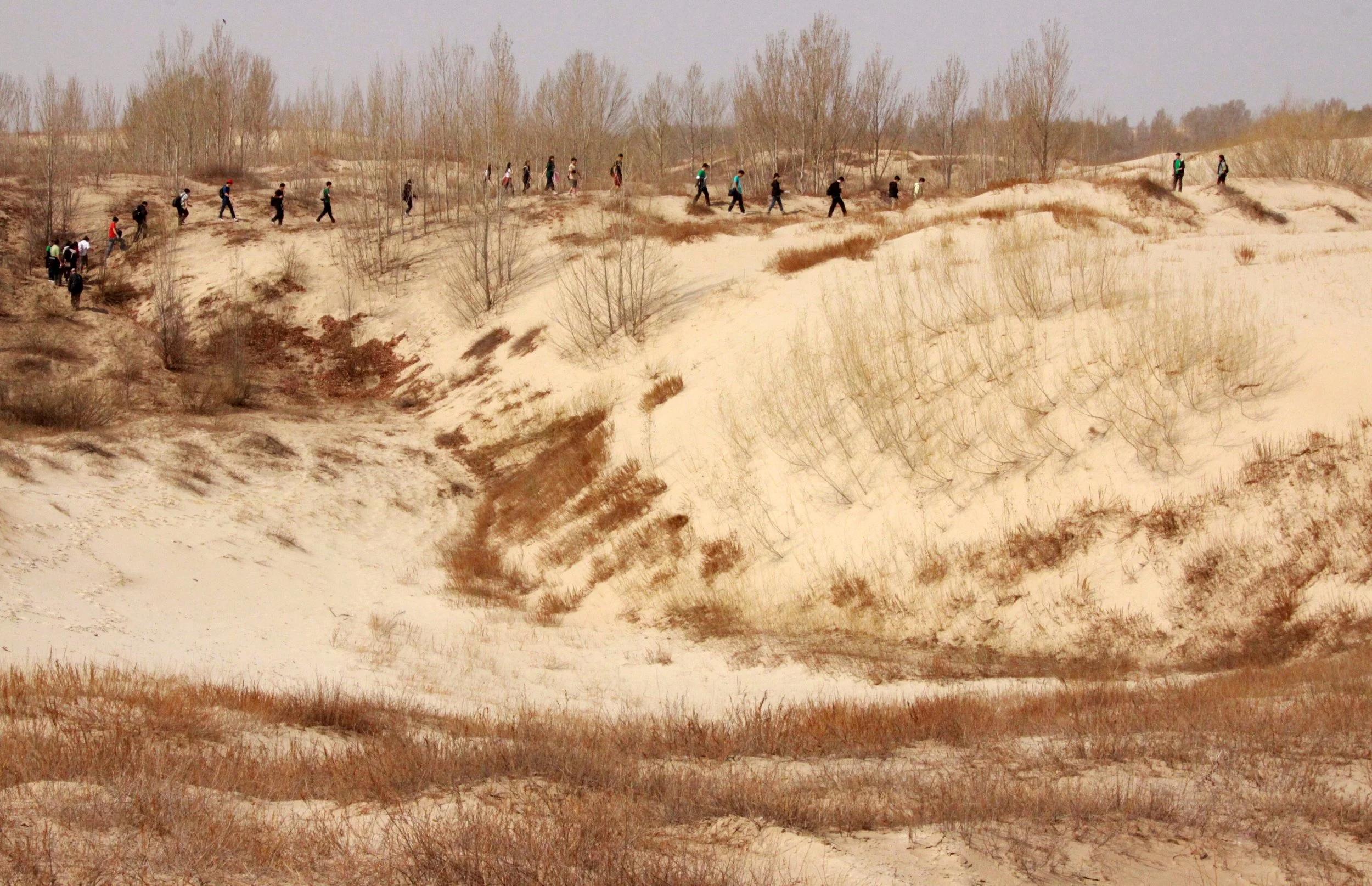 KULUN QI INNER MONGOLIA CHINA - DUNES (4).JPG