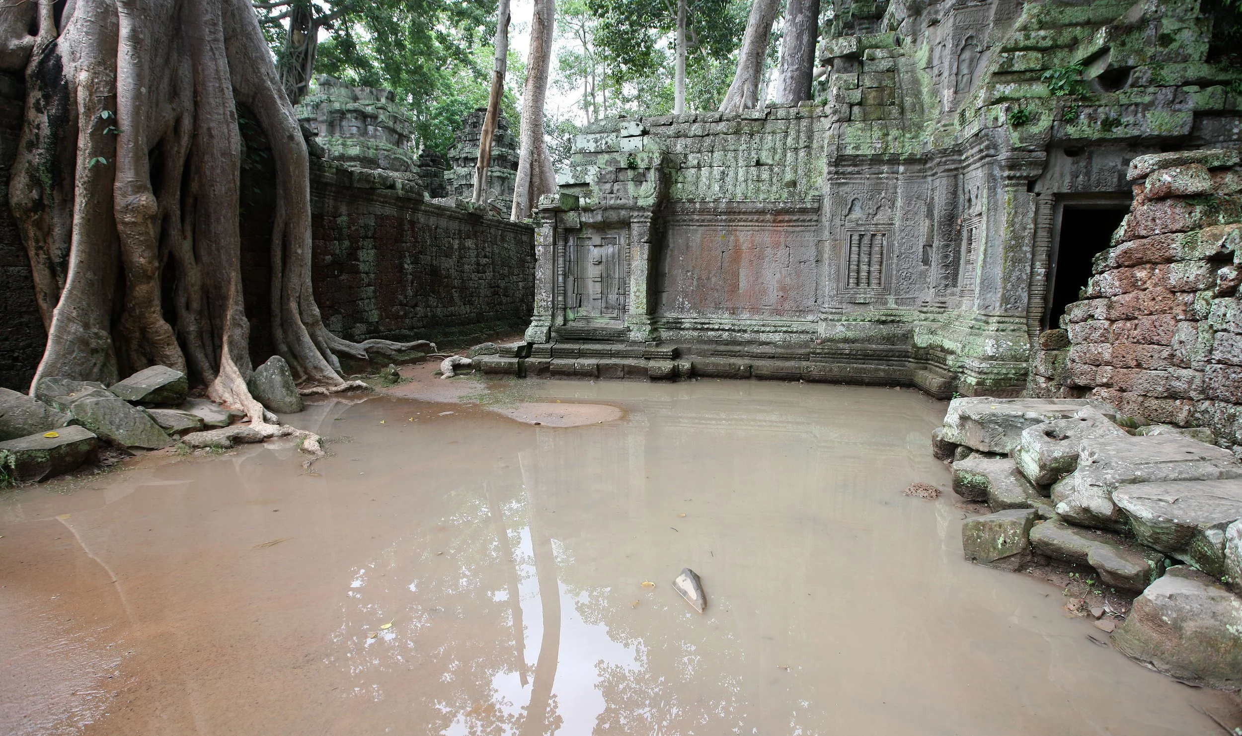TA PROHM TEMPLE CAMBODIA - JULY 2010 (18).JPG