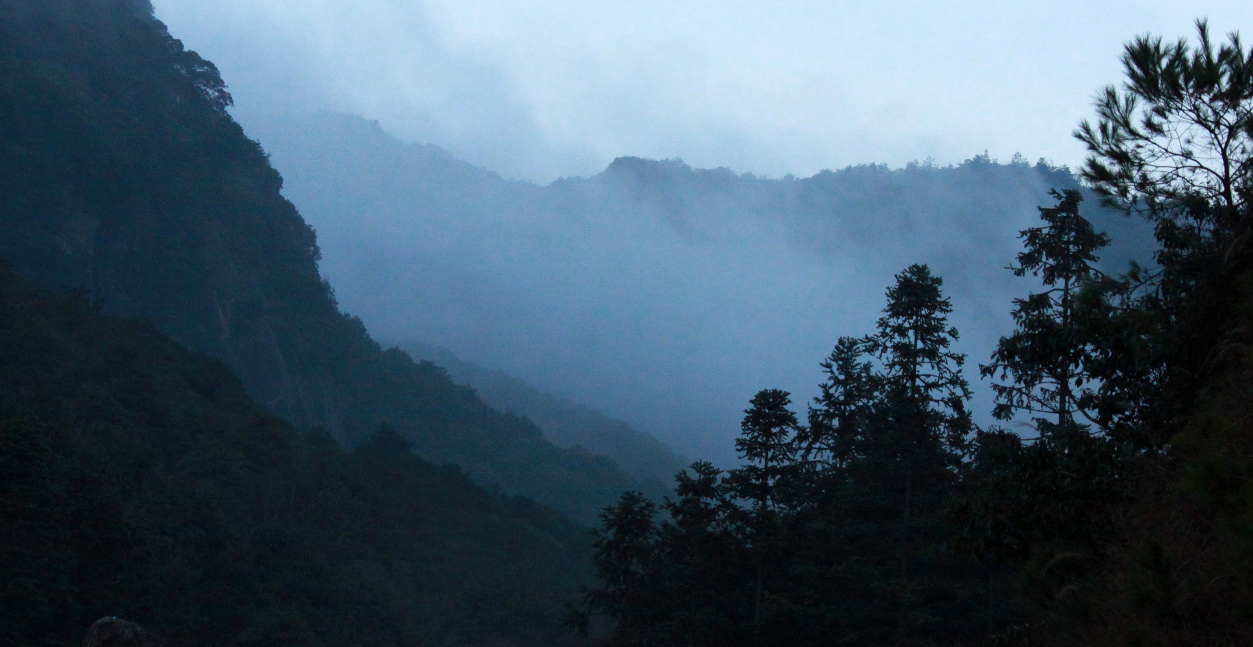 MEIHUASHAN - FUJIAN CHINA (49).JPG