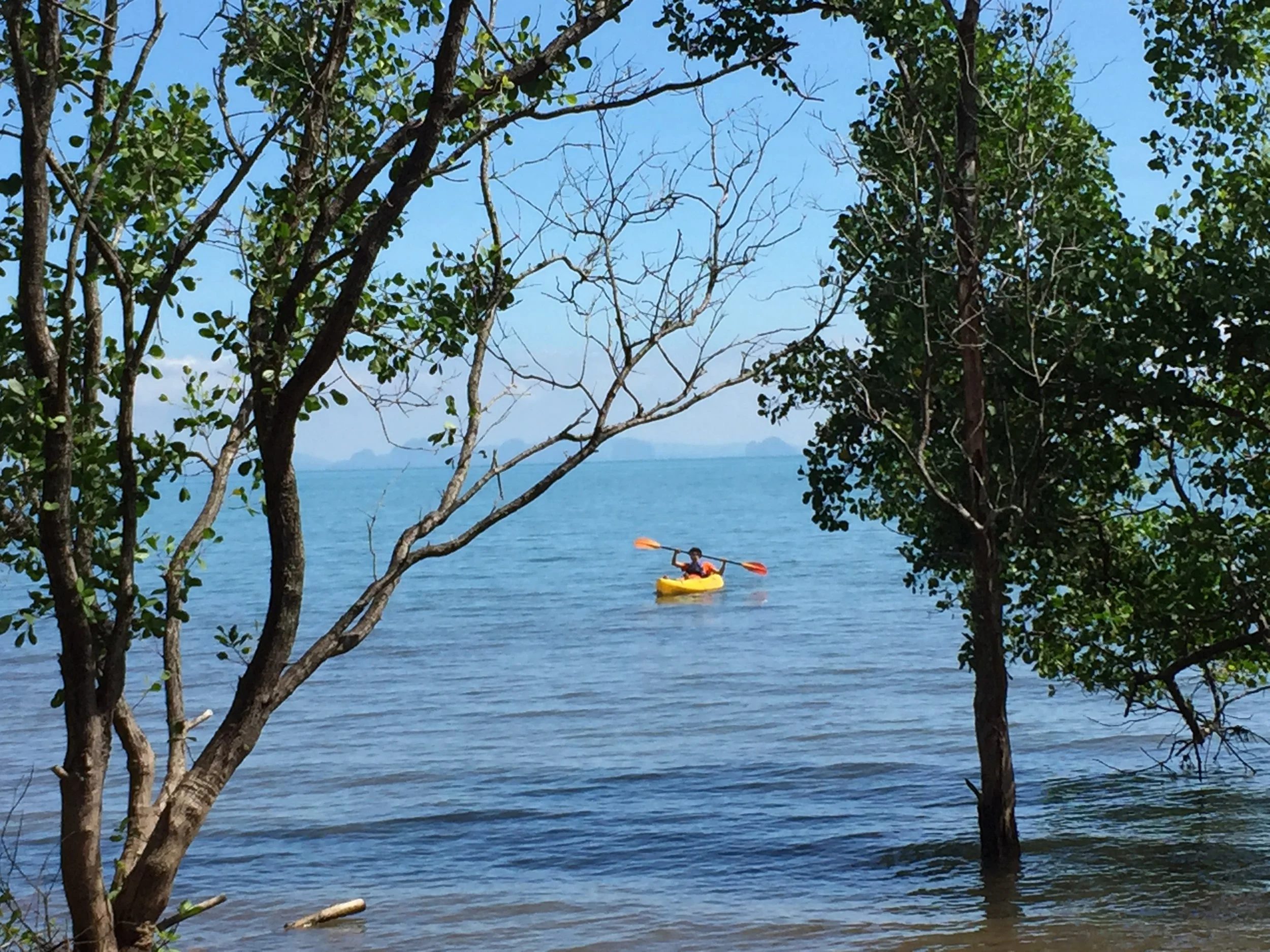 2015 Koh Lanta Garden & Nature (249).JPG