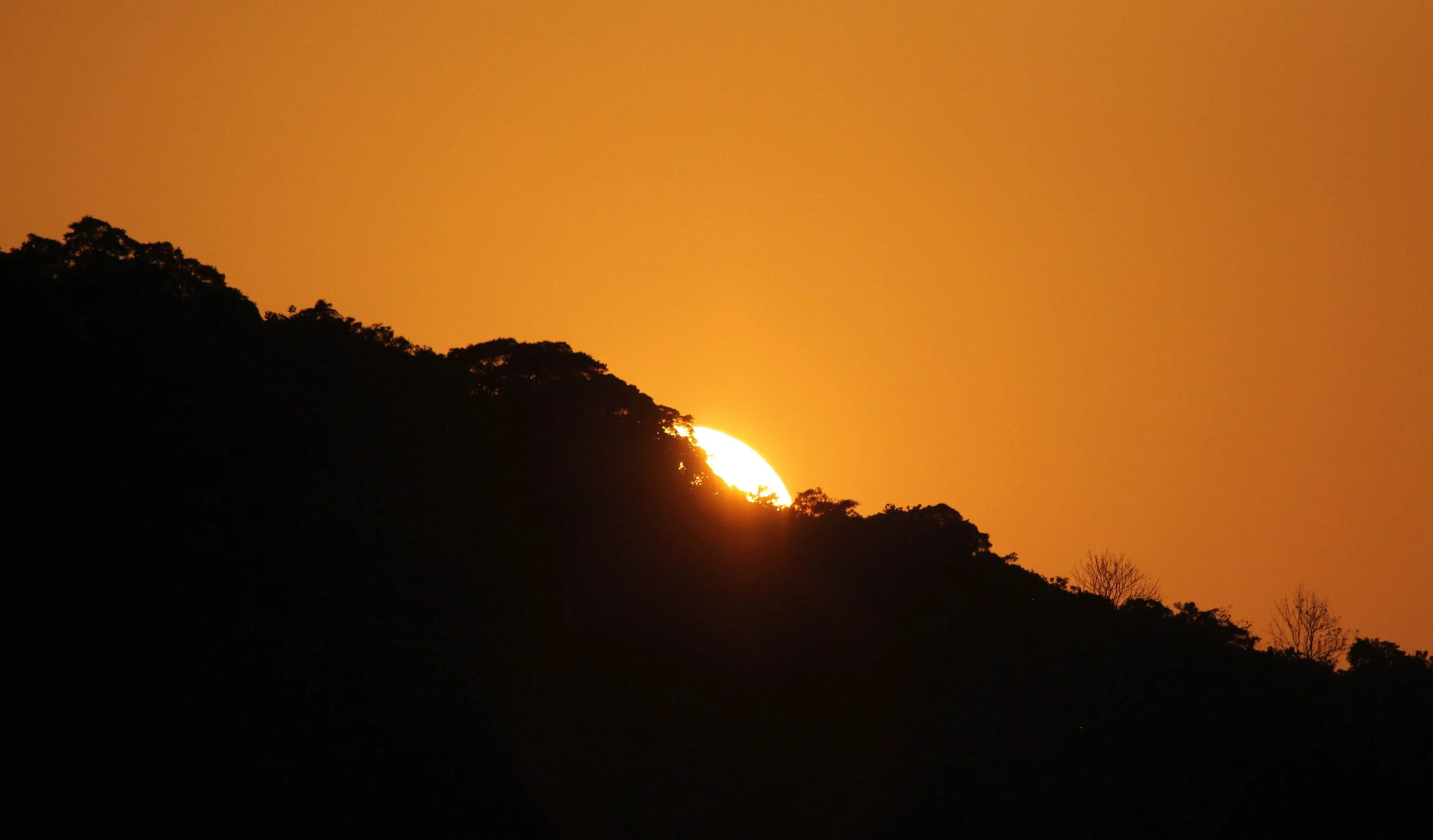 2014 Similan Islands Marine Park Thailand ISB Dive Trip (65).JPG
