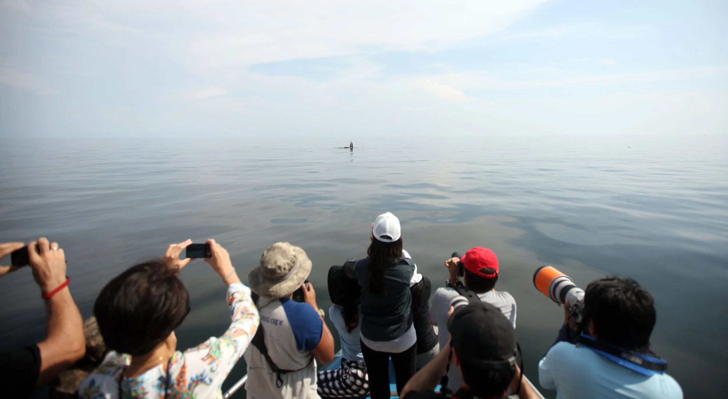 2014 Amphawa Trip to See Whales from Baan Taboon (62).JPG