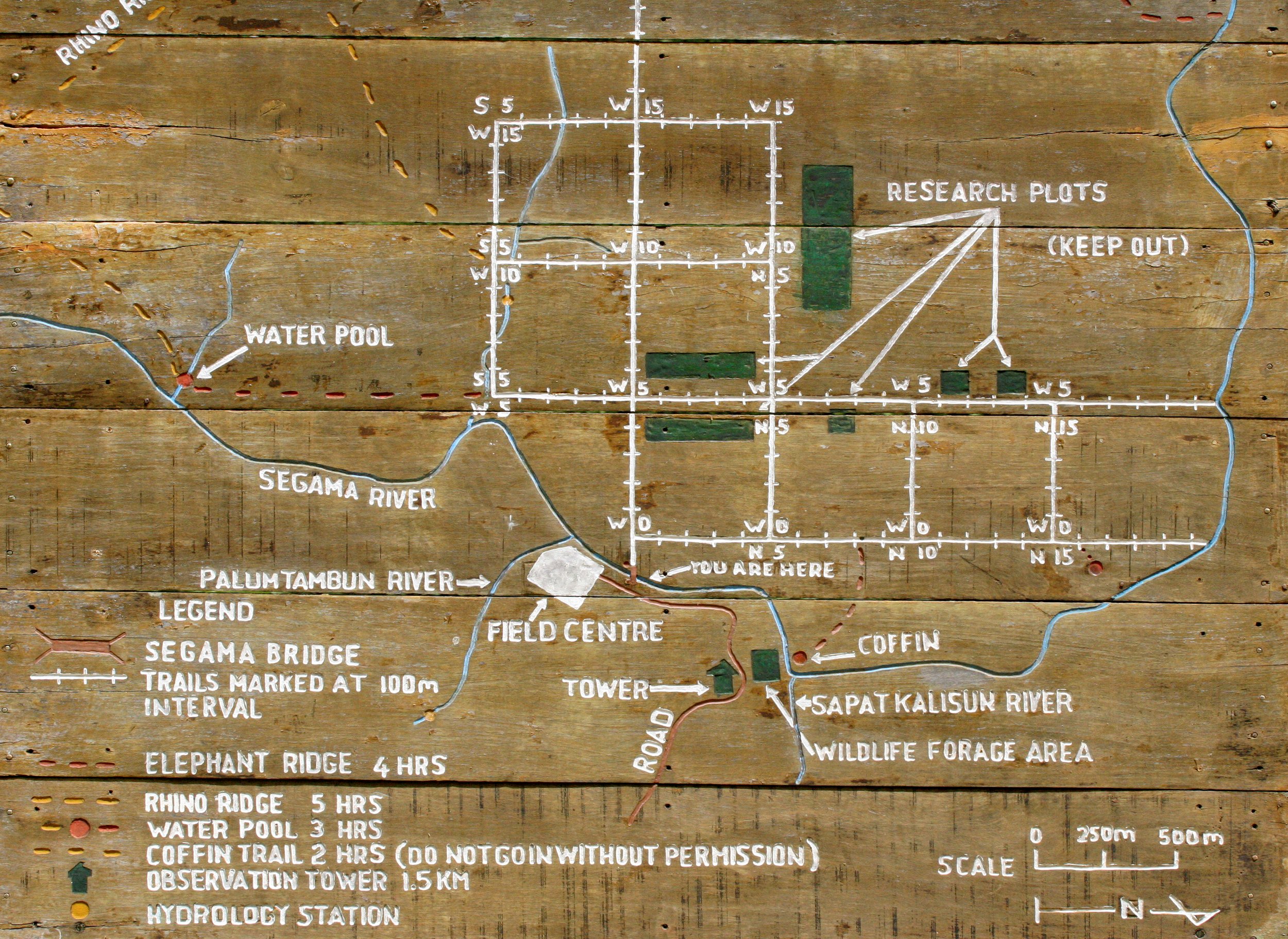 DANUM VALLEY BORNEO - DANUM VALLEY FIELD CENTER (2).JPG