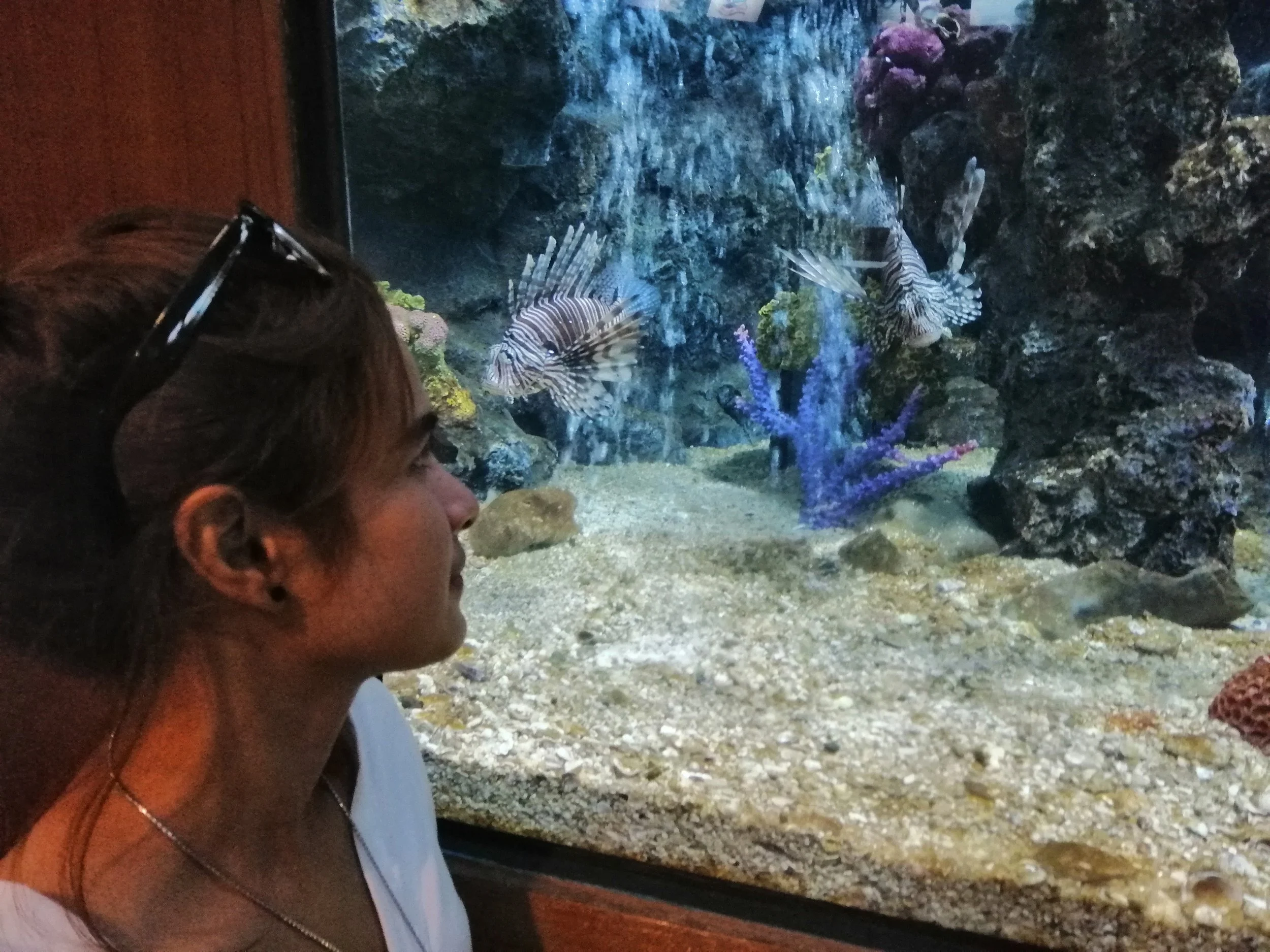 2018 Pattaya with Gift Temples and Miniature City (42).jpg