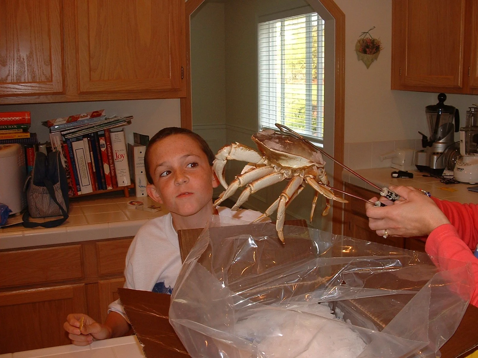 2003-8-1 WASHINGTON VISIT FROM ROBINSONS ET AL (191).JPG