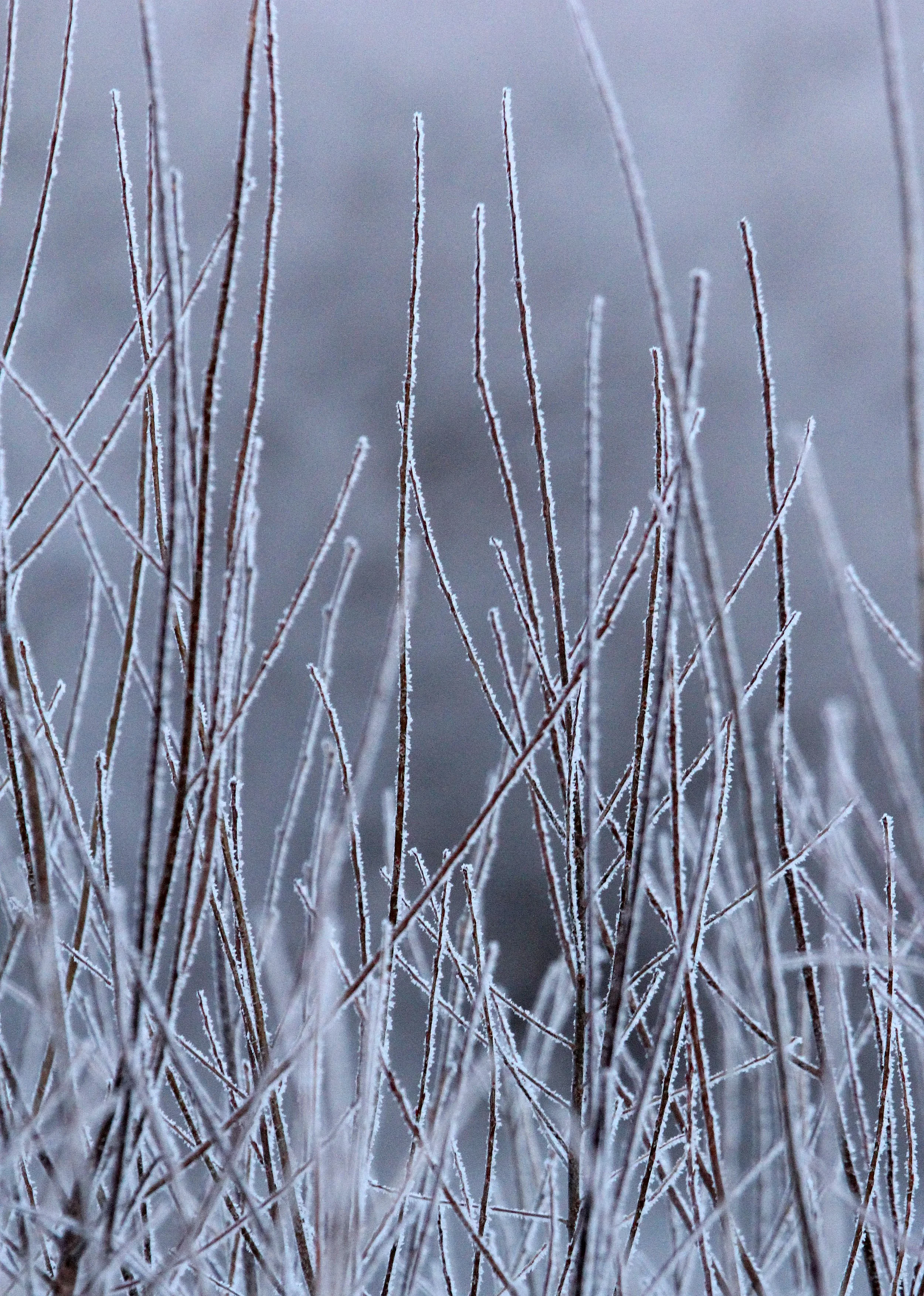 OTOWABASHI SETSUGAWA - TSURUI TOWN - HOKKAIDO JAPAN (9).JPG