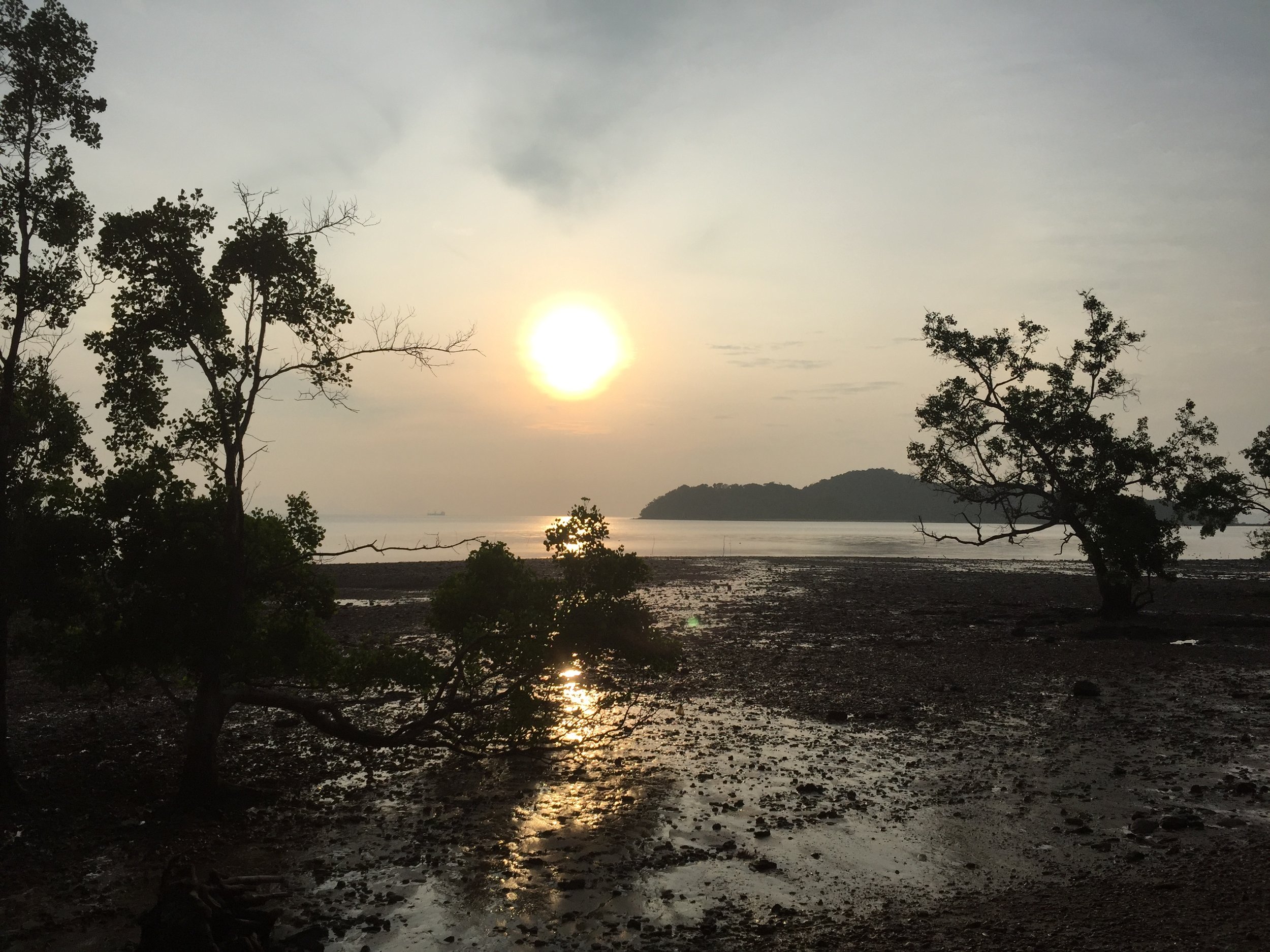 2015 Koh Lanta Garden & Nature (270).JPG