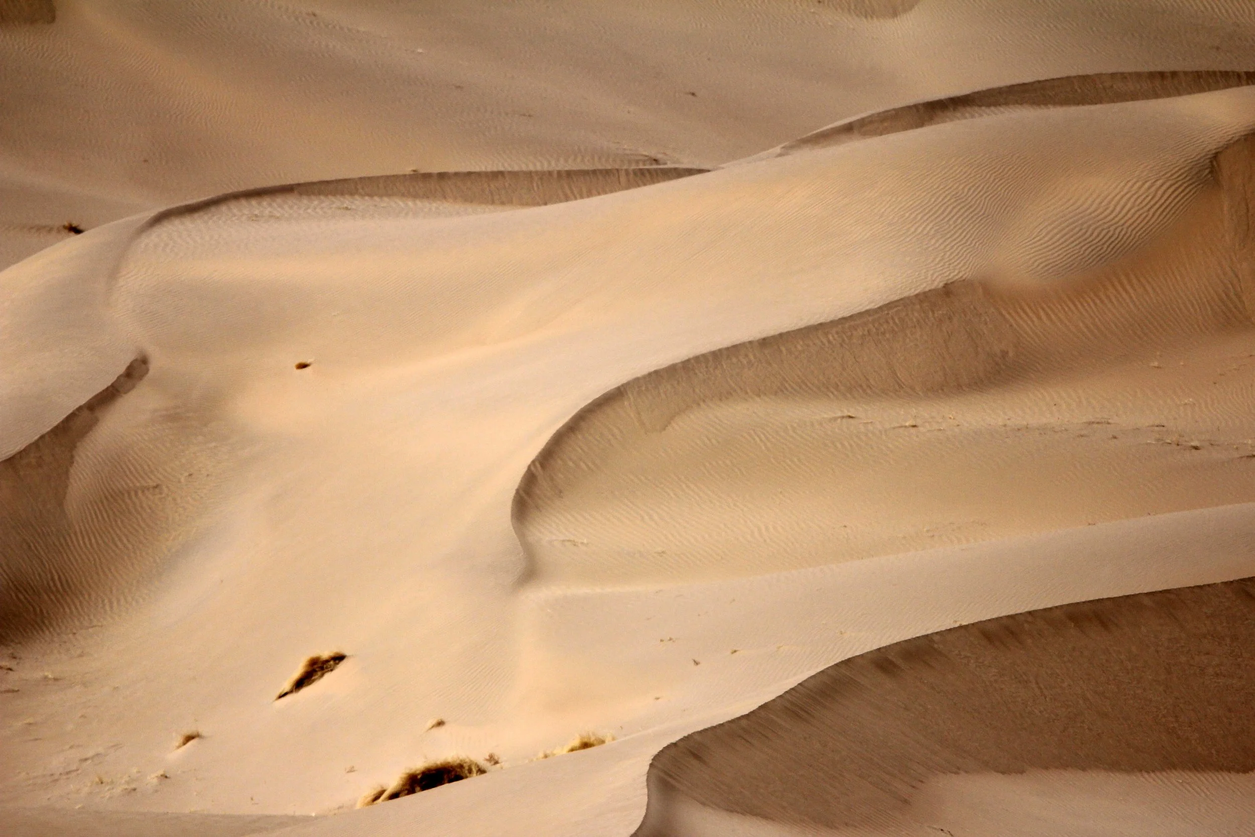 GANSU - DUNES SOUTH OF DUNHUANG - CHINA (20).JPG