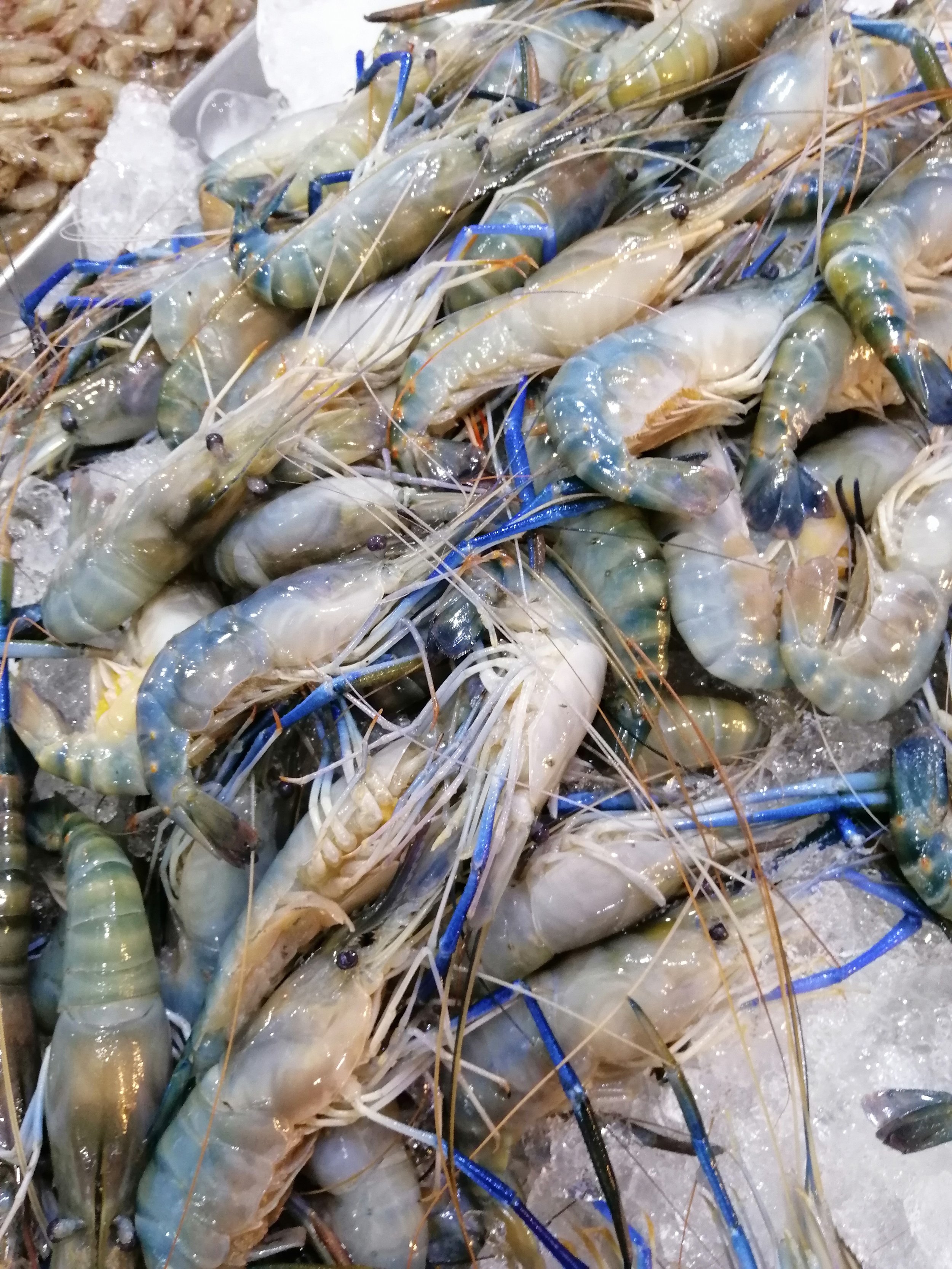 2019 Motorcycle Ride with Cokie to Samut Prakan  (185).jpg