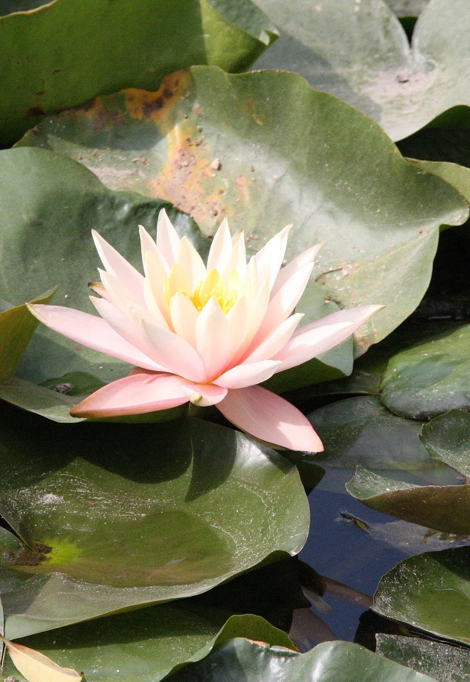 LINDEN CENTER - XIZHOU VILLAGE YUNNAN CHINA (204).JPG