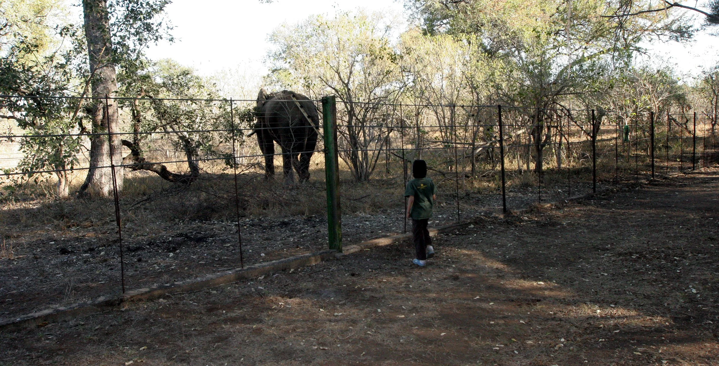 KRUGER NATIONAL PARK CAMPSITE (2).JPG