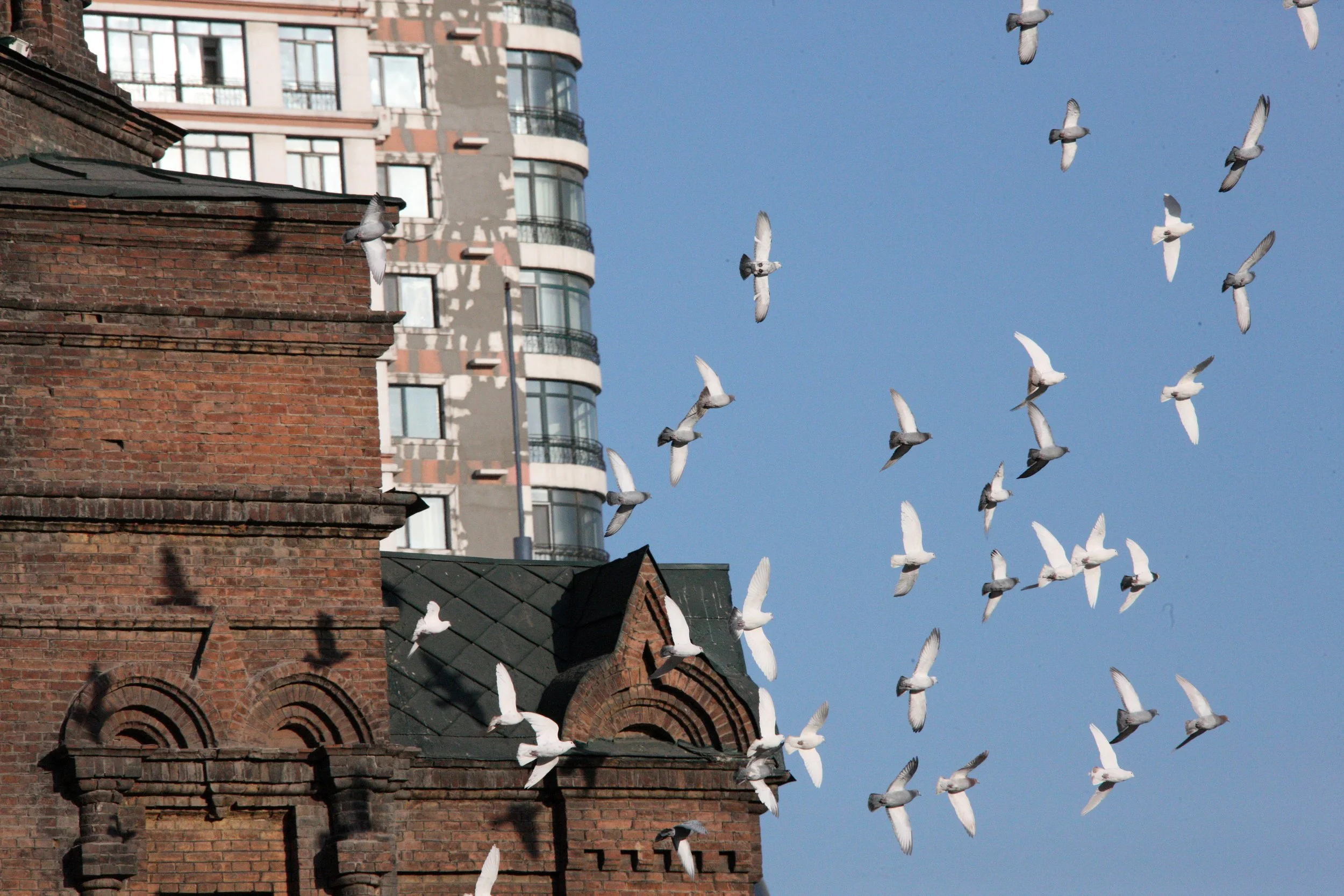 SAINT SOPHIA'S CATHEDRAL HARBIN CHINA (140).JPG