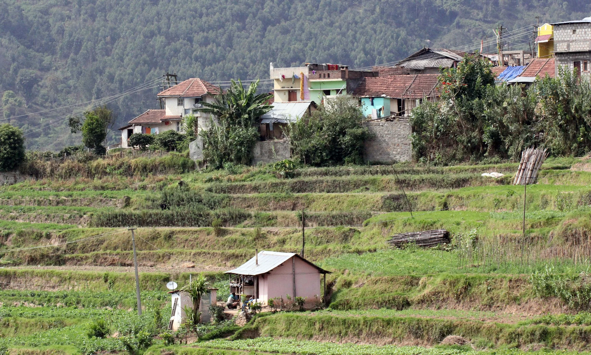 PAMPADUM SHOLA NATIONAL PARK - KERALA INDIA - VATTAVADA - PHOTO BY SOM SMITH (139).JPG
