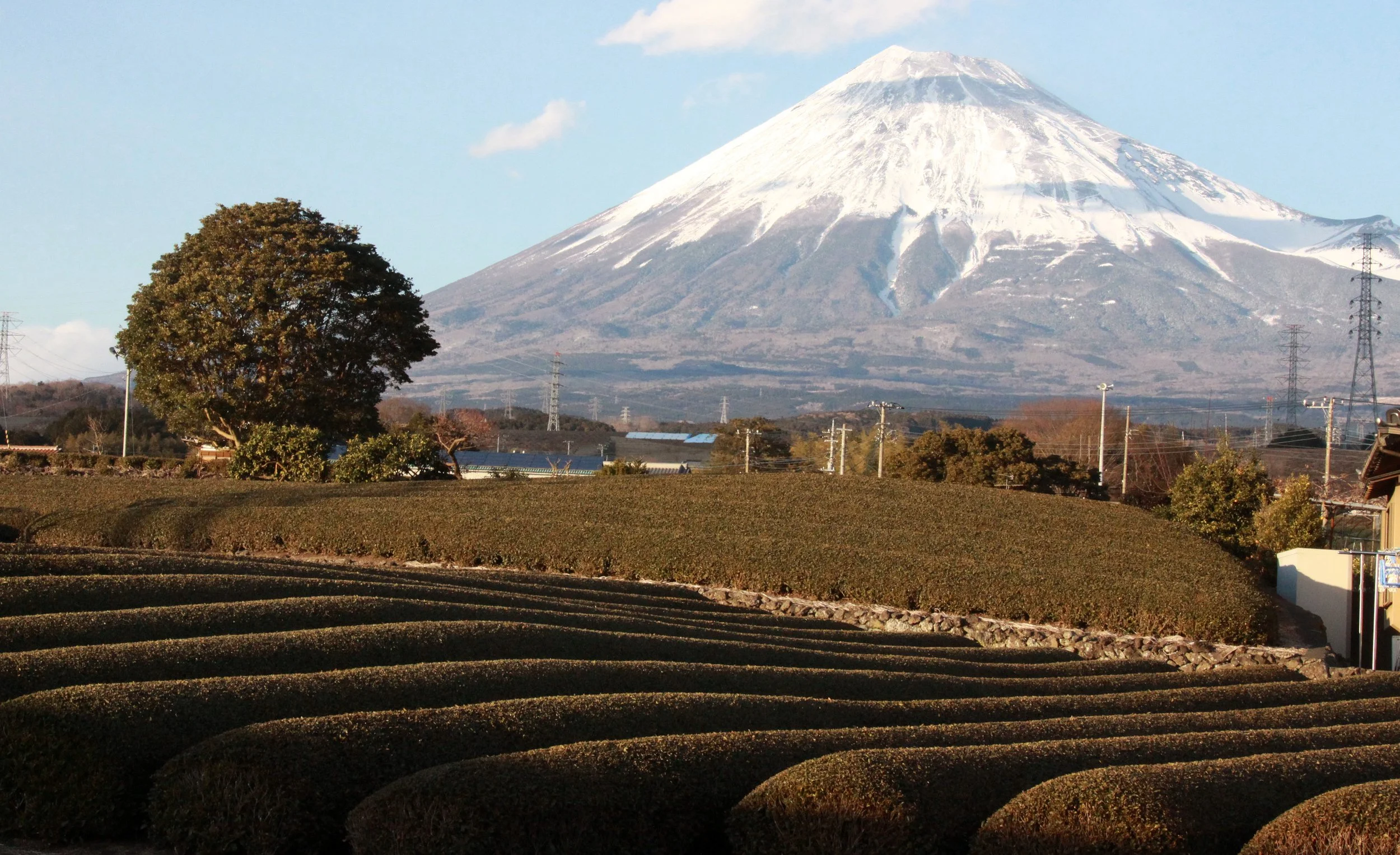 MOUNT FUJY - AS SEEN FROM FUJI CITY JAPAN (3).JPG