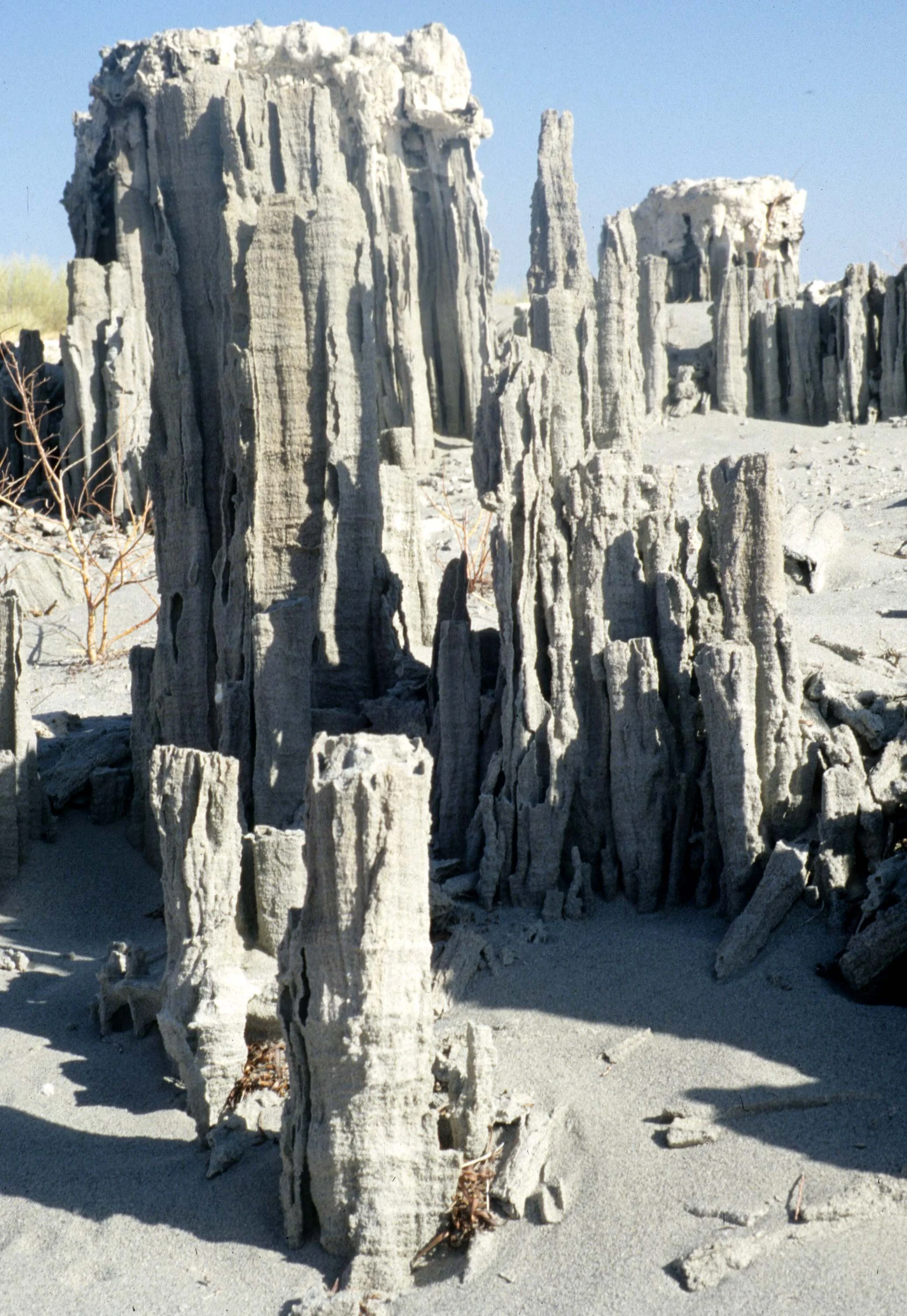 CALIFORNIA - MONO LAKE - SAND TUFA (3).jpg