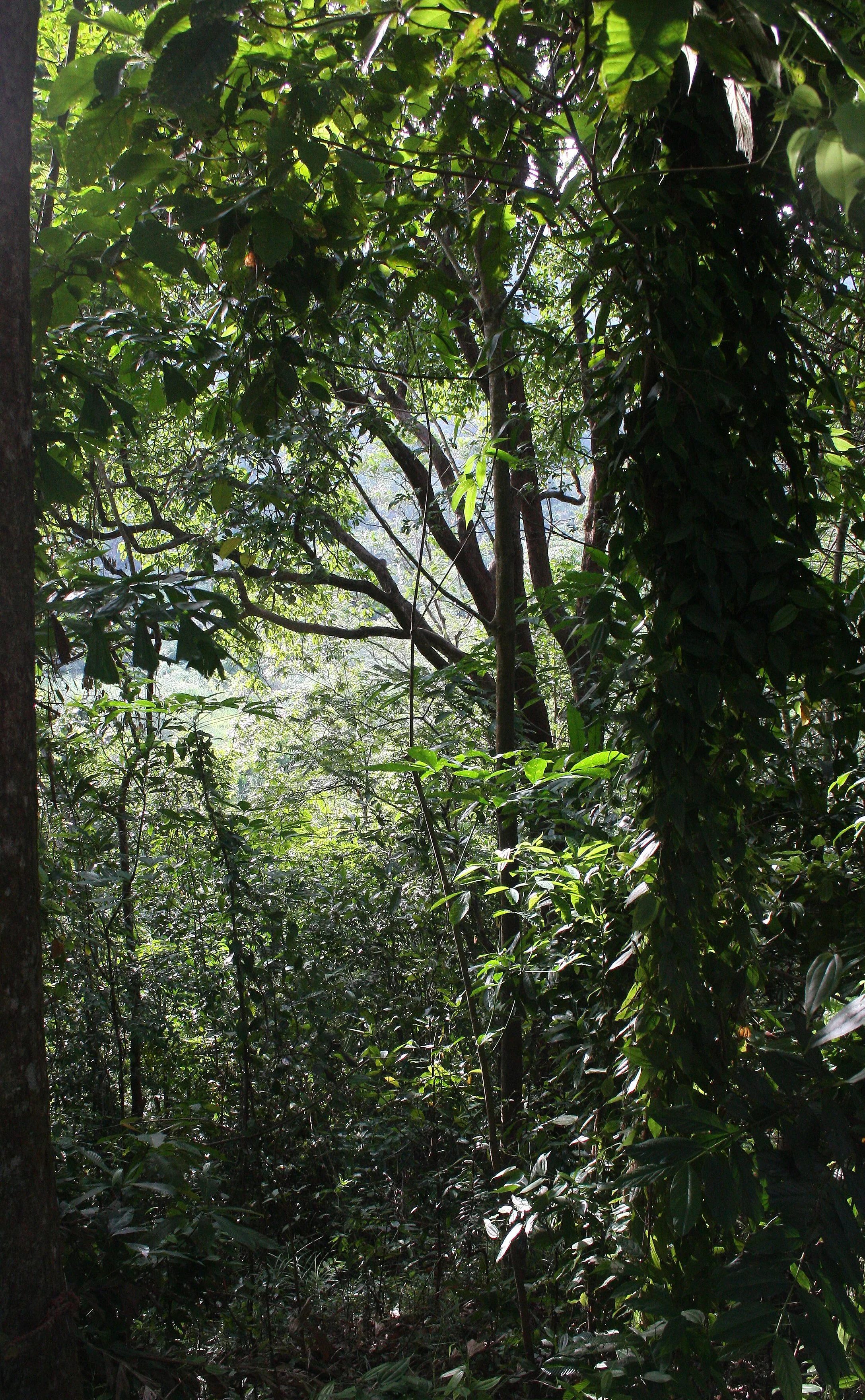 2008 Promluk Property Pics (6).JPG