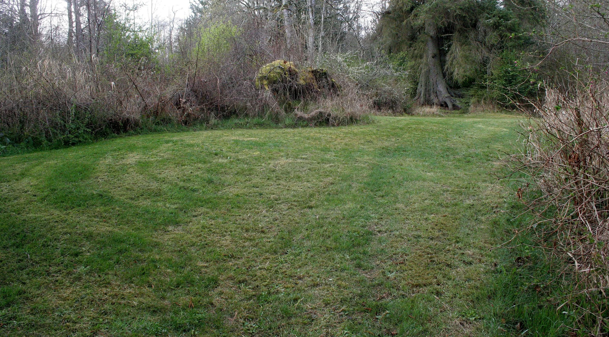 2008-4-19 LAKE FARM TRAILS WALK (20).JPG