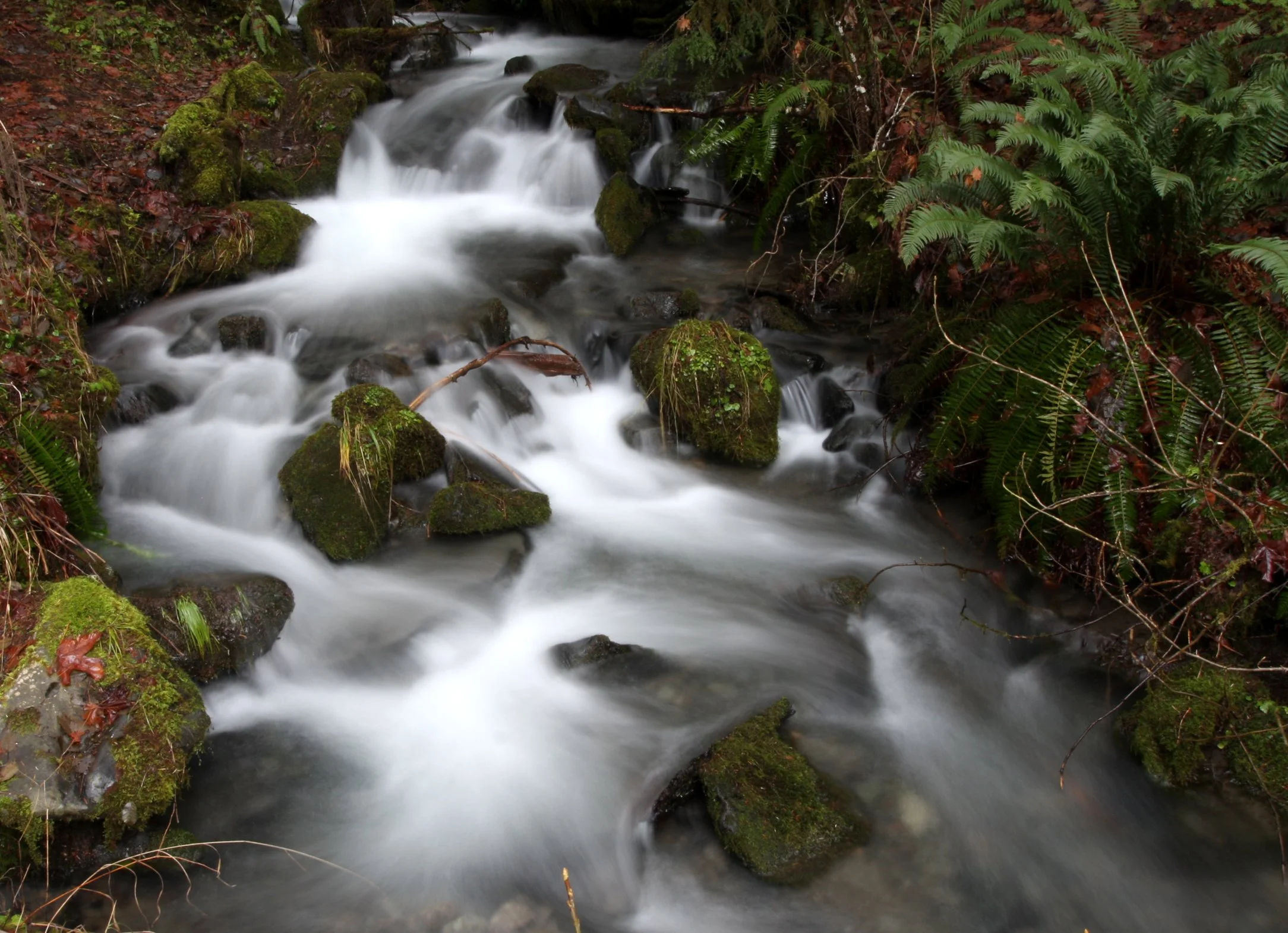 WHISKEY BEND TRAIL ROAD - SMALL STREAM (4).JPG