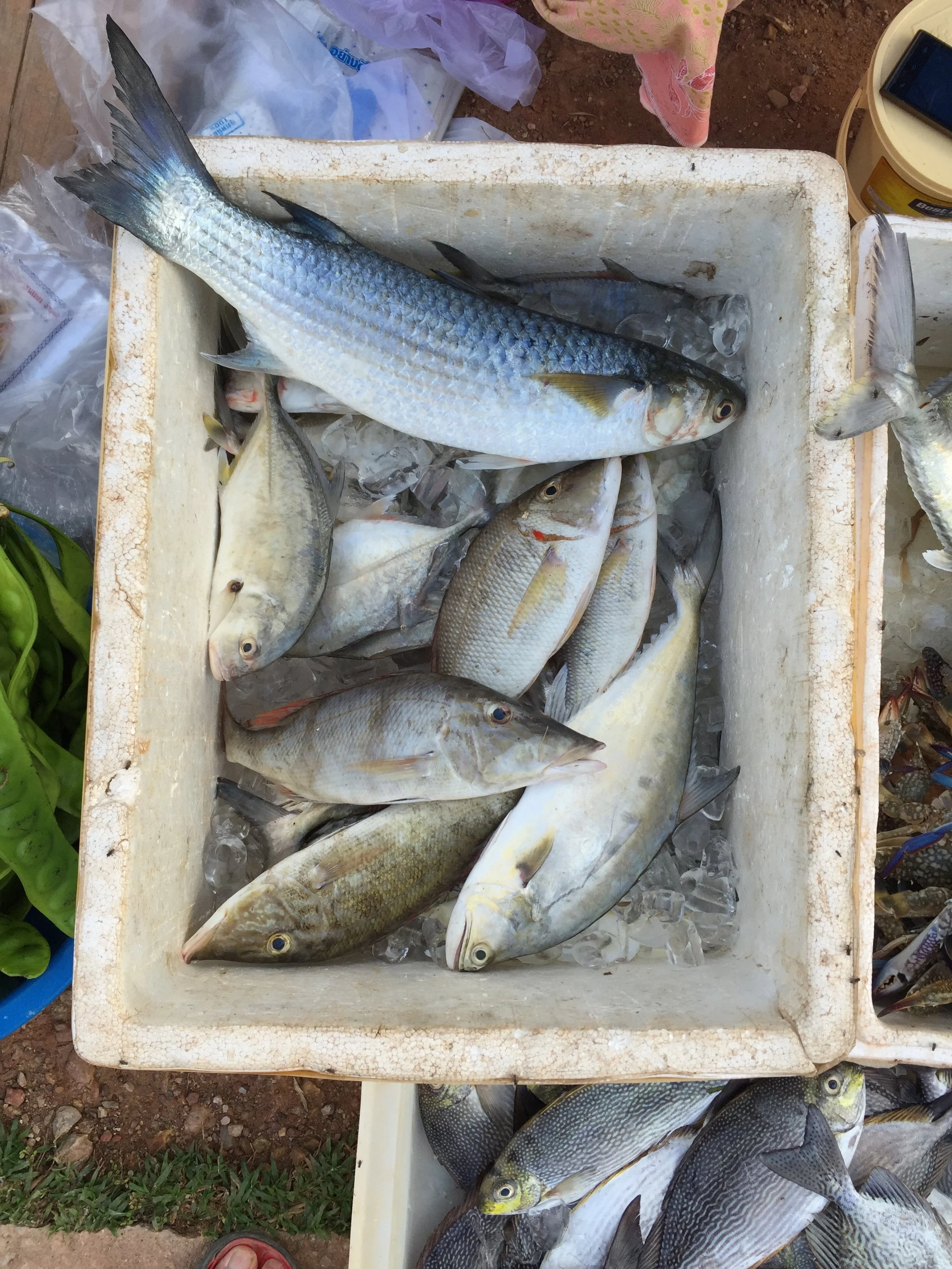 2015 Koh Lanta Songkran Break (10).jpg