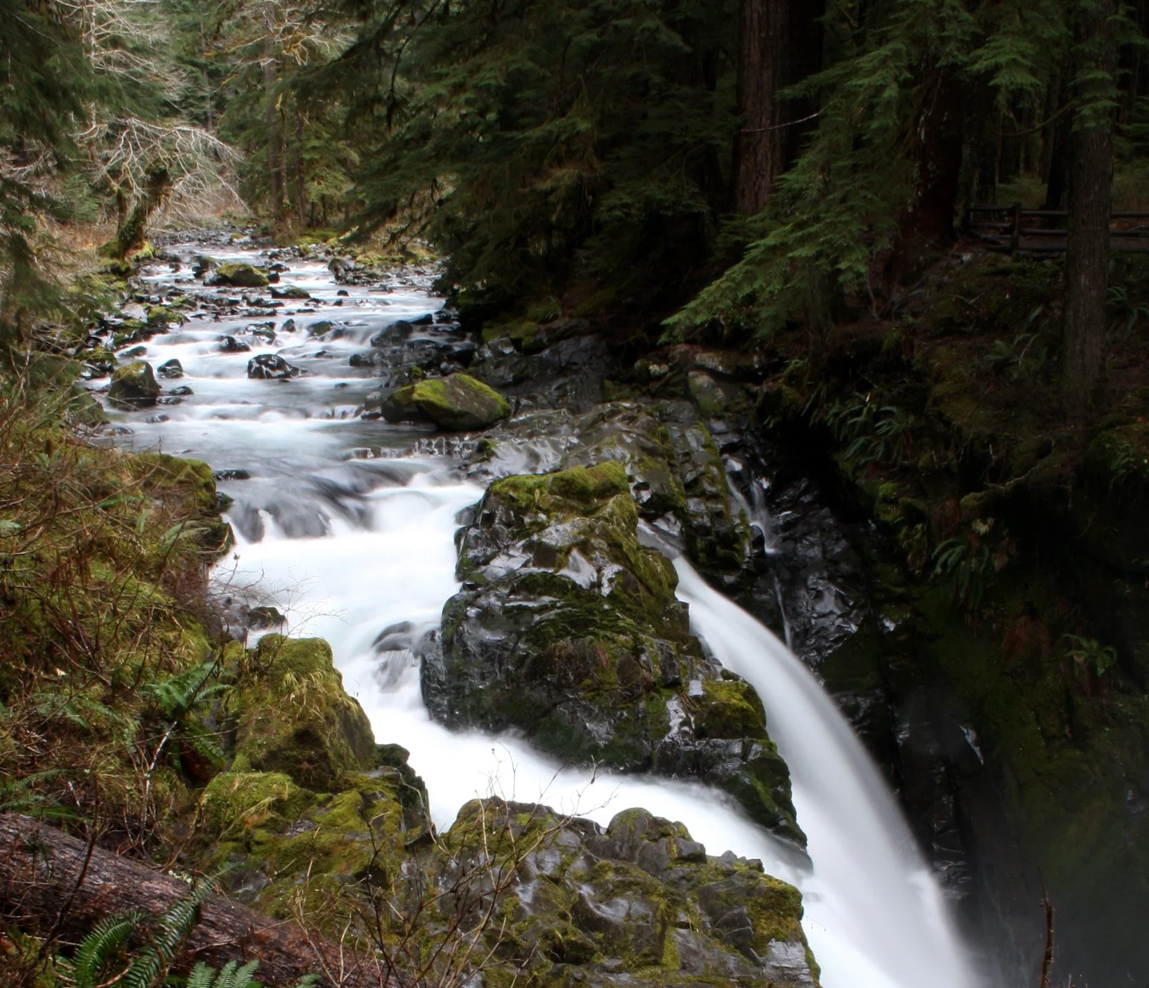 SOL DUC FALLS AND FOREST - ONP WA (33).JPG