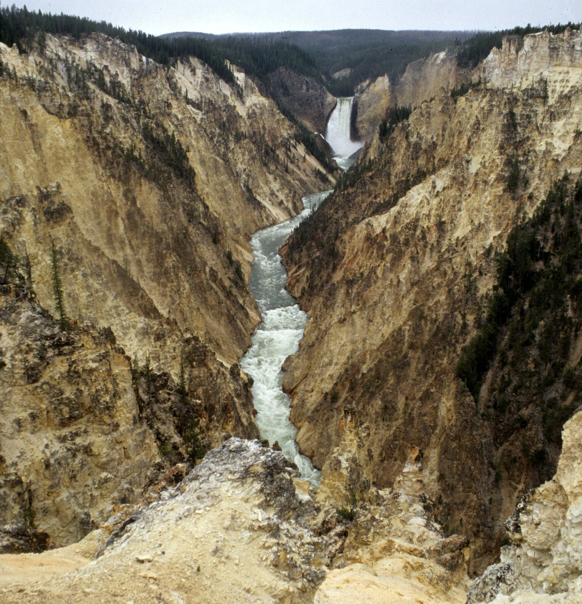 YELLOWSTONE - CANYON VIEW K.jpg