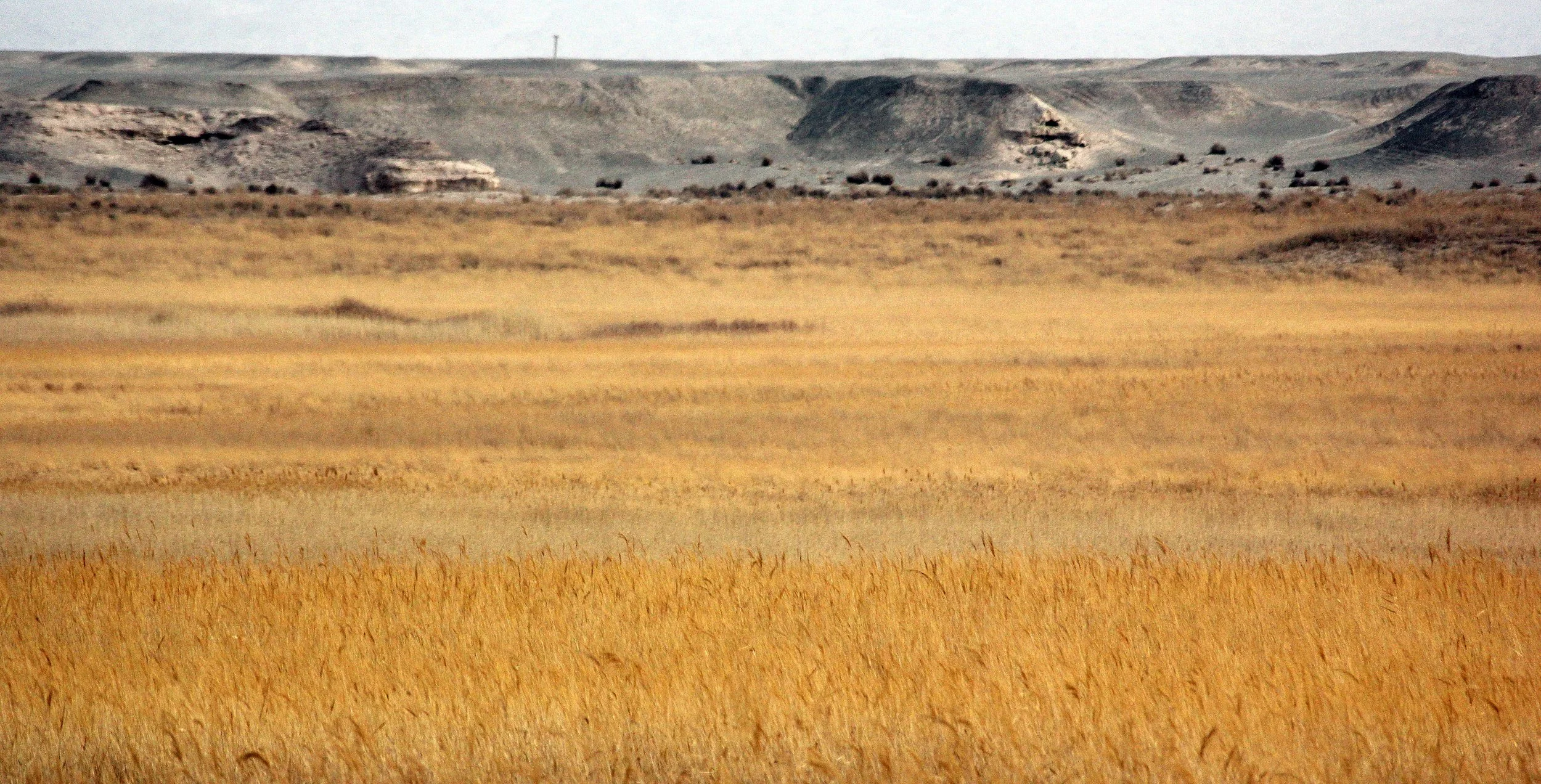 DUNHUANG XIFU NATIONAL NATURE RESERVE - GANSU CHINA (1).JPG