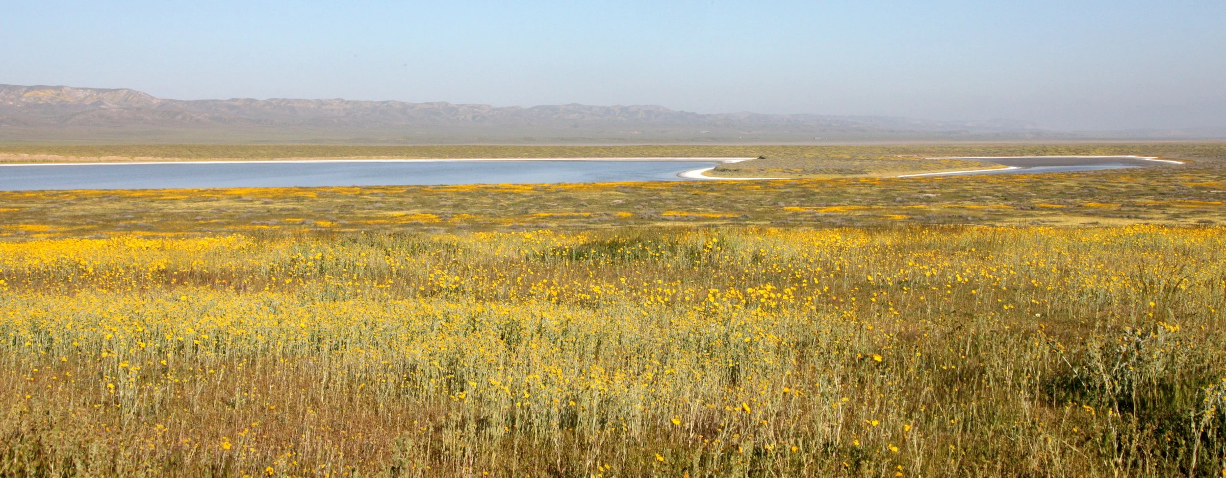 CARRIZO PLAIN NATIONAL MONUMENT - VIEWS OF THE REGION - ROADTRIP 2010 (12).JPG