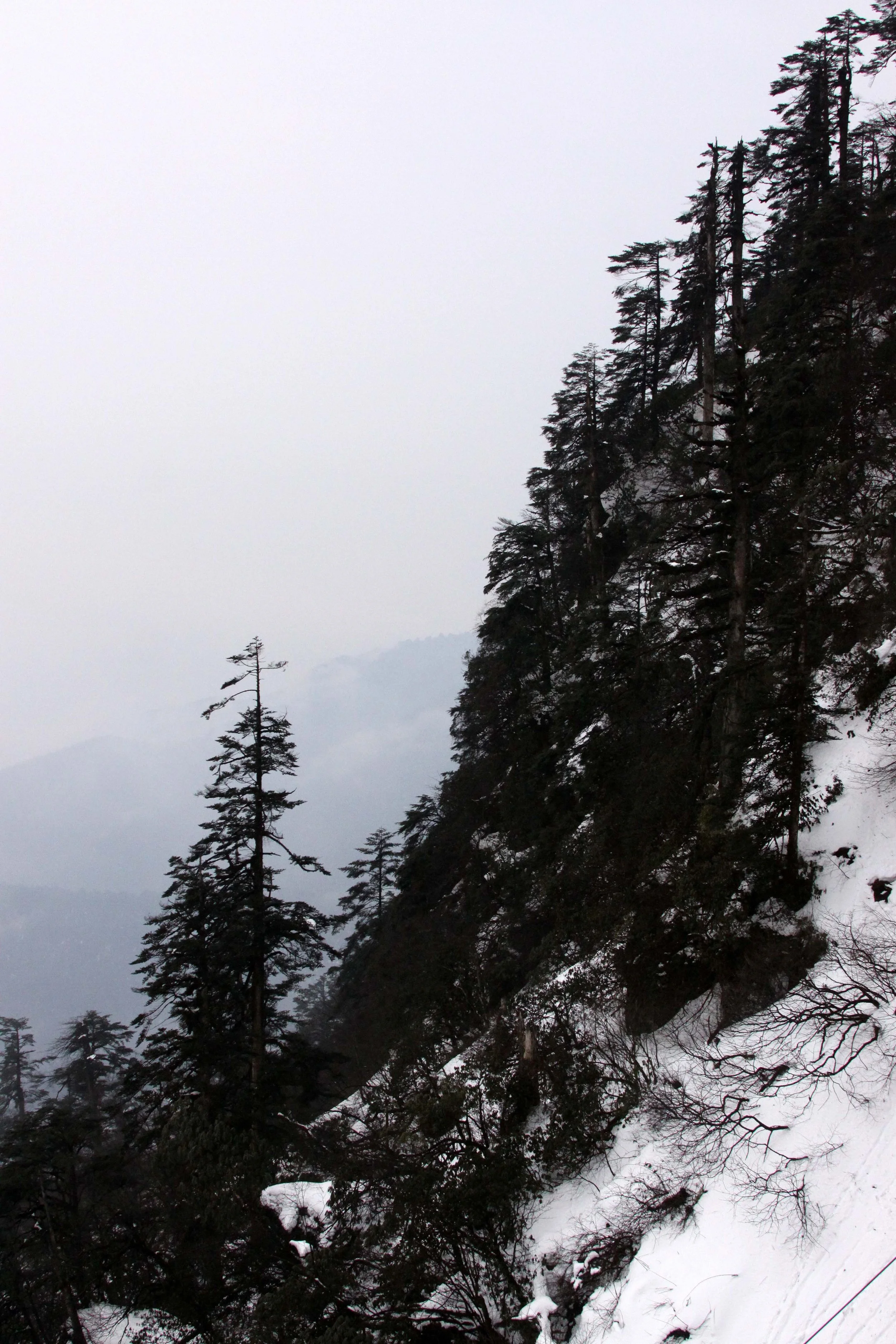 WAWU SHAN GEOPARK - SICHUAN CHINA (20).JPG