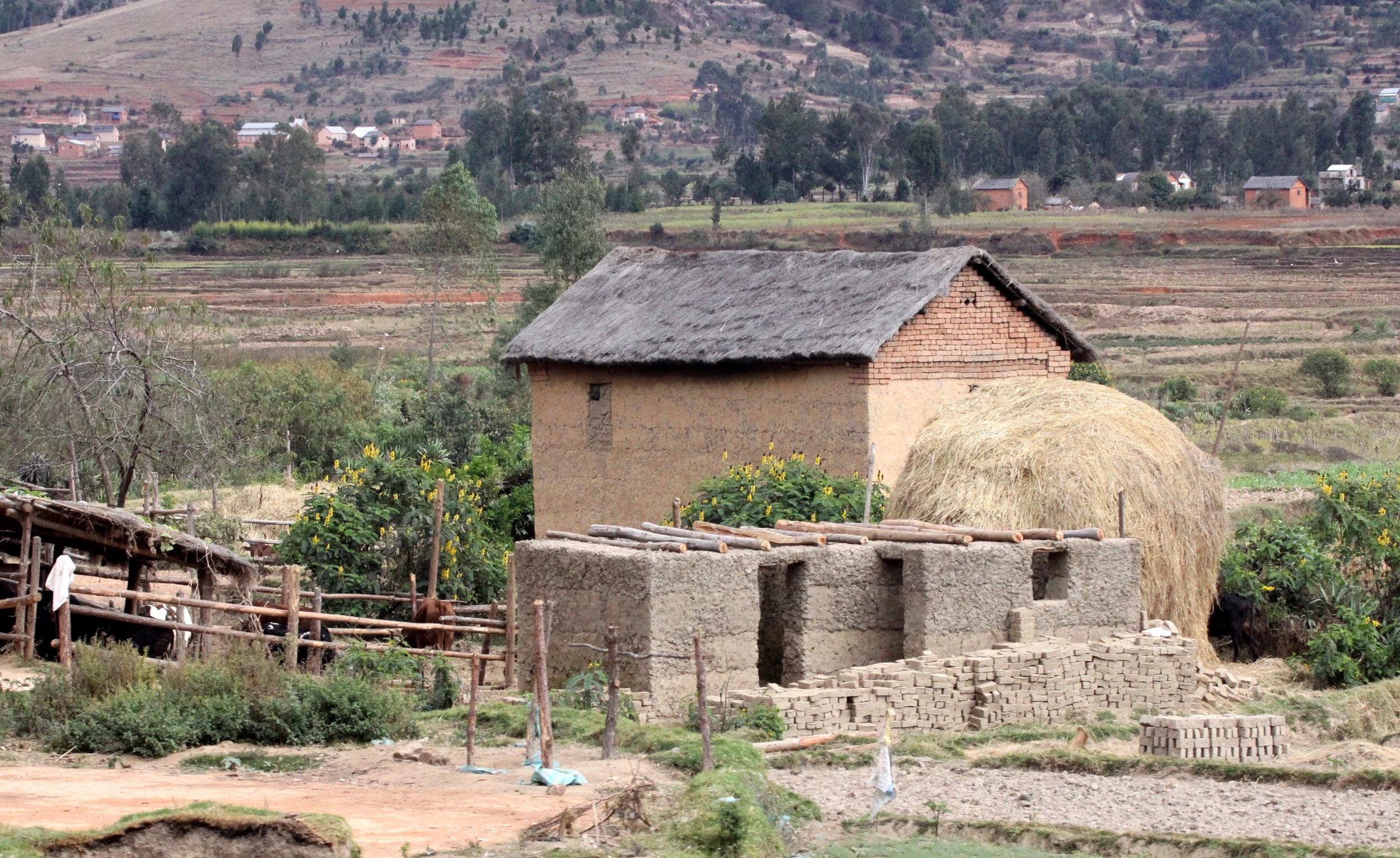 CENTRAL HIGHLANDS - ROAD TO RANOMAFANA (53).JPG