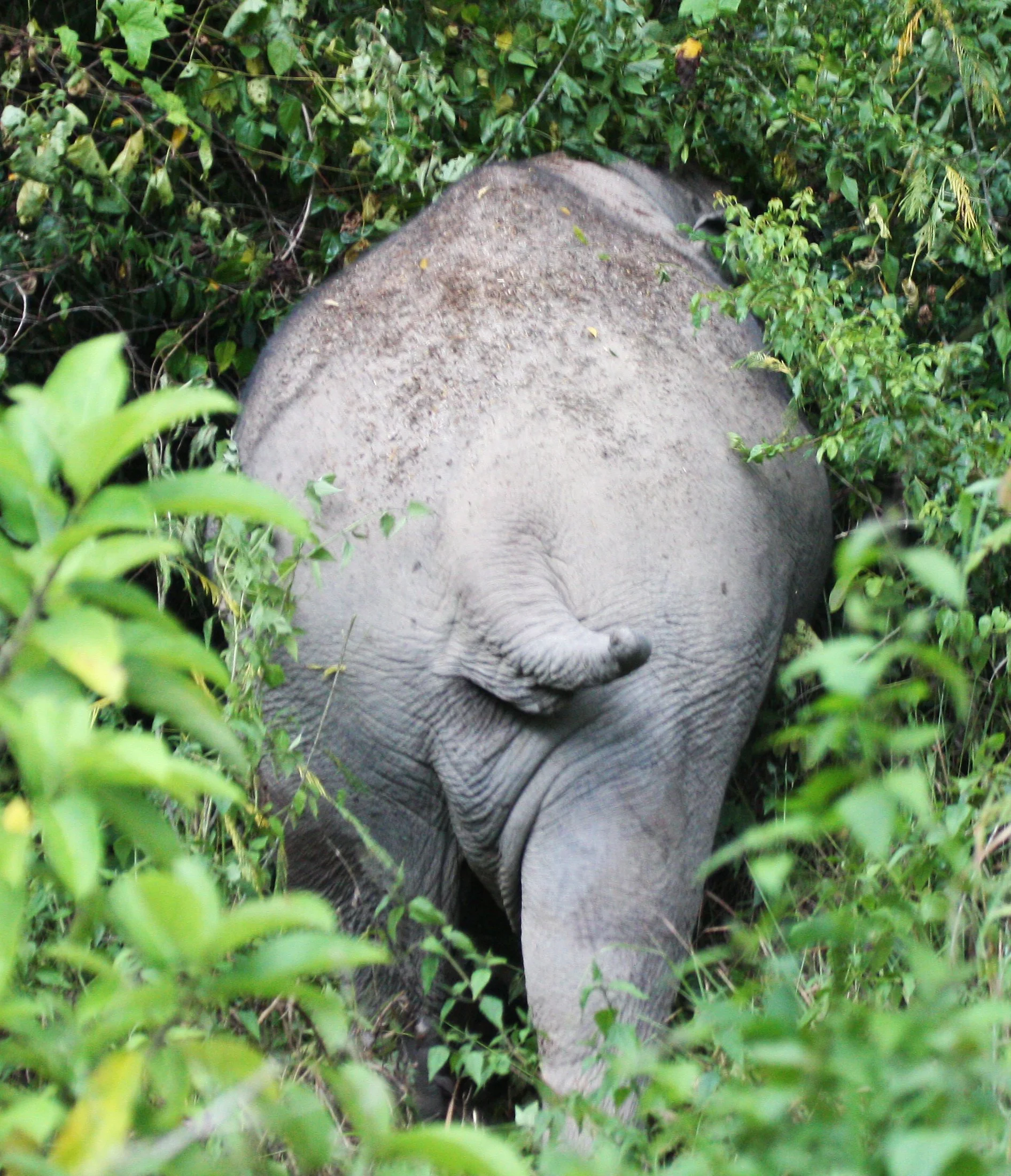 Same old friend with an image taken in 2006!