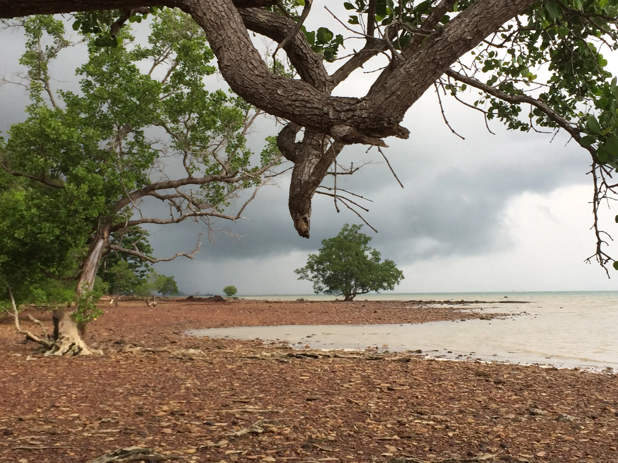 2015 Koh Lanta Garden & Nature (214).JPG