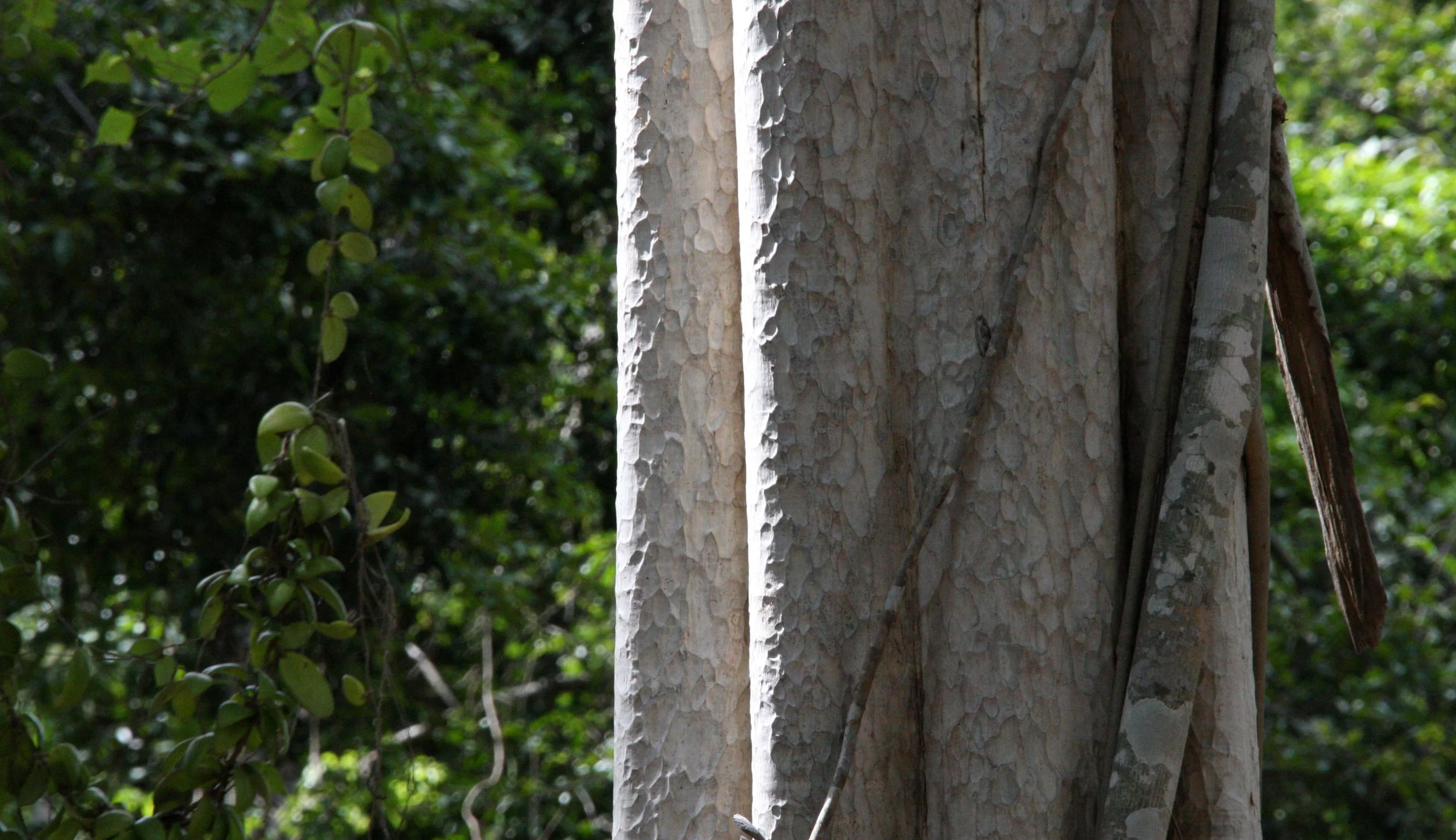 KOH KER TEMPLE CAMBODIA (3).JPG