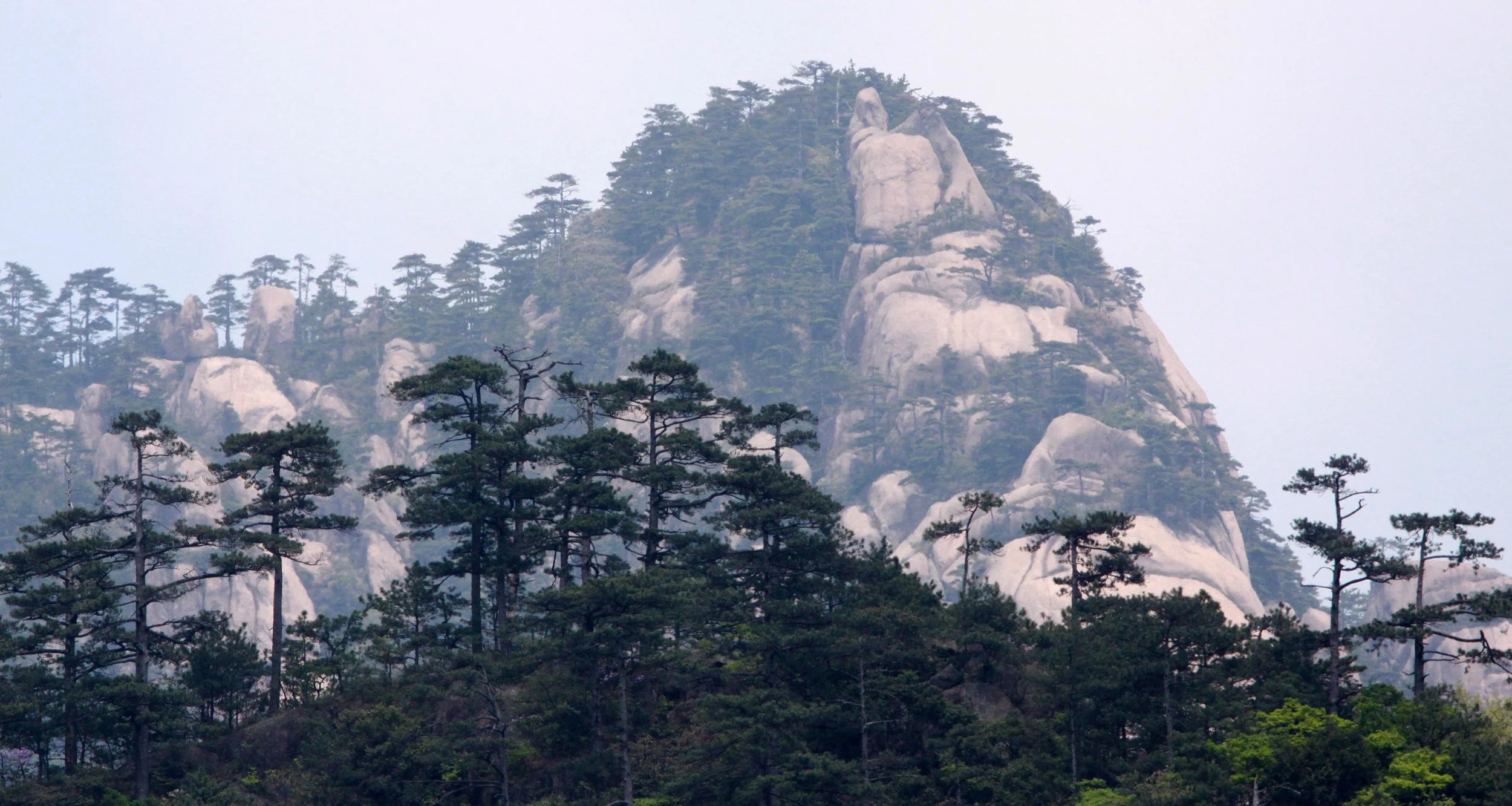 HUANGSHAN NATIONAL PARK - ANHUI PROVINCE CHINA (40).JPG